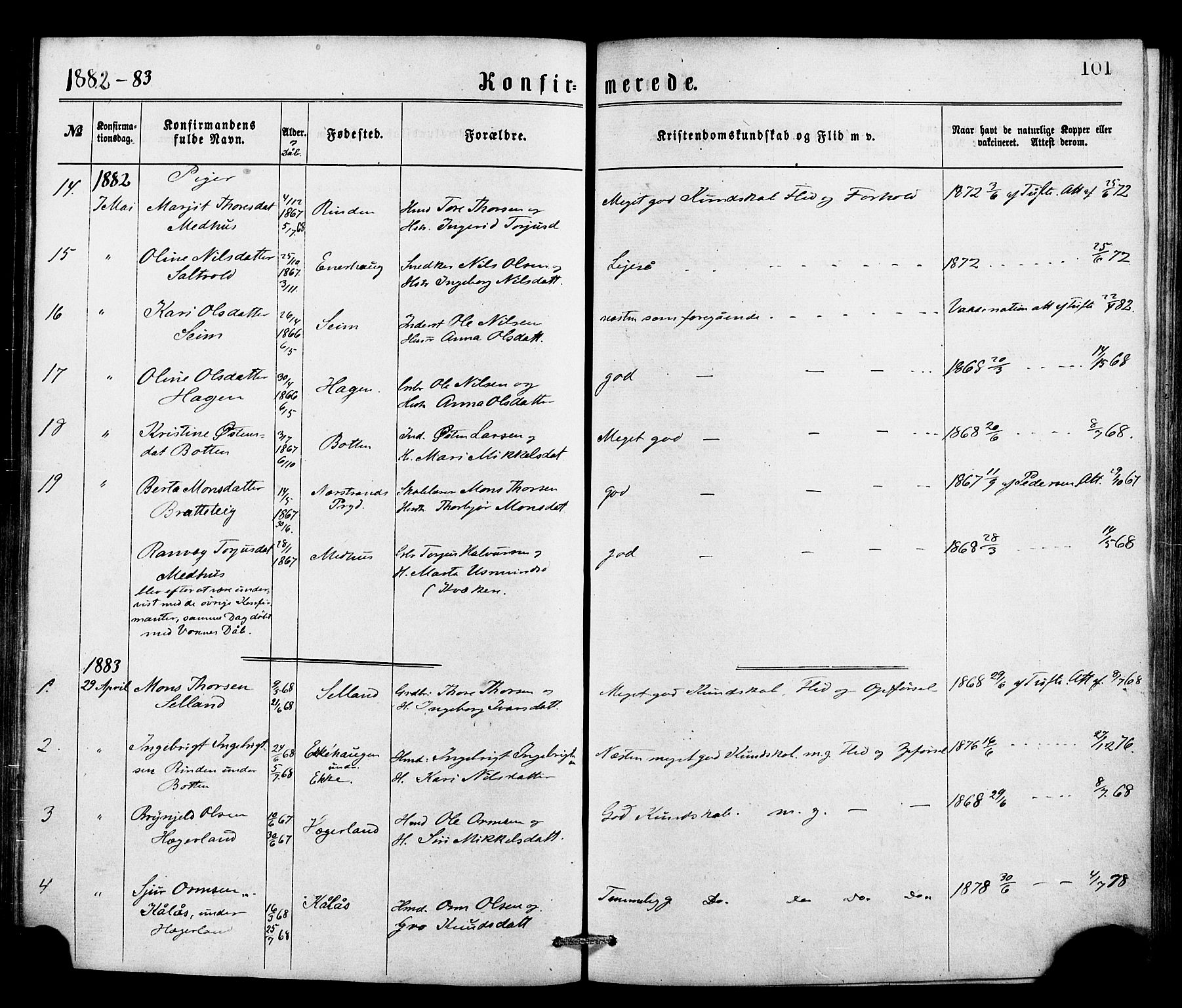 Røldal sokneprestembete, SAB/A-100247: Parish register (official) no. A 4, 1870-1886, p. 101