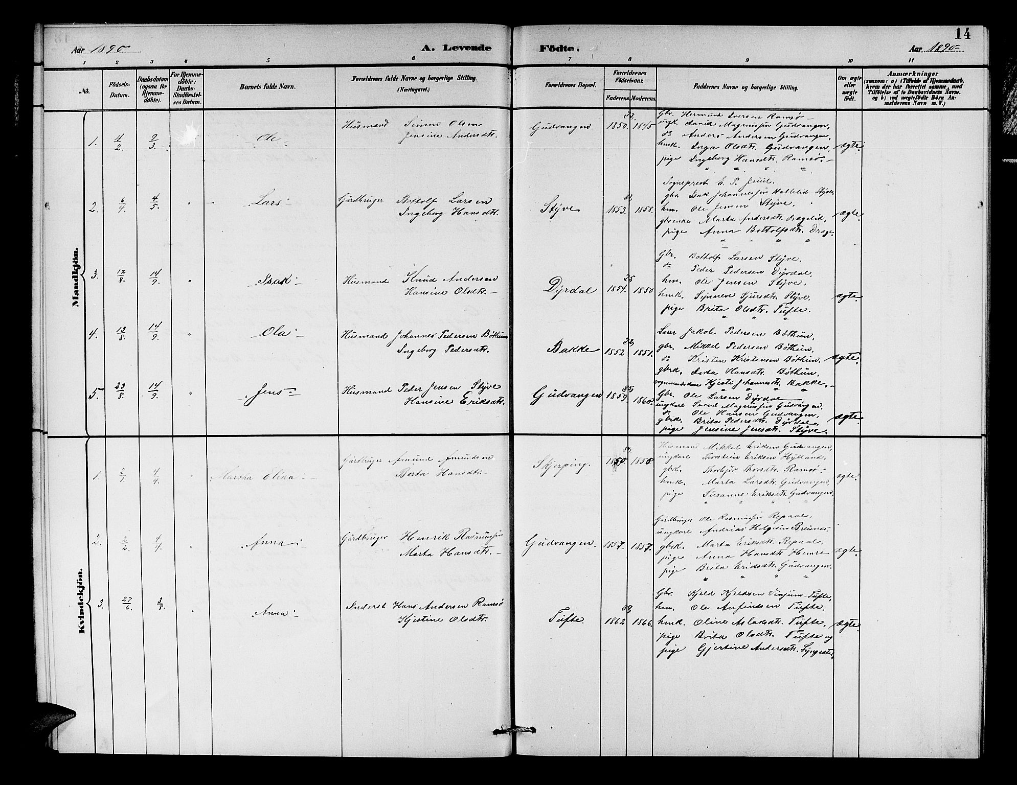 Aurland sokneprestembete, SAB/A-99937/H/Hb/Hbc/L0002: Parish register (copy) no. C 2, 1883-1900, p. 14