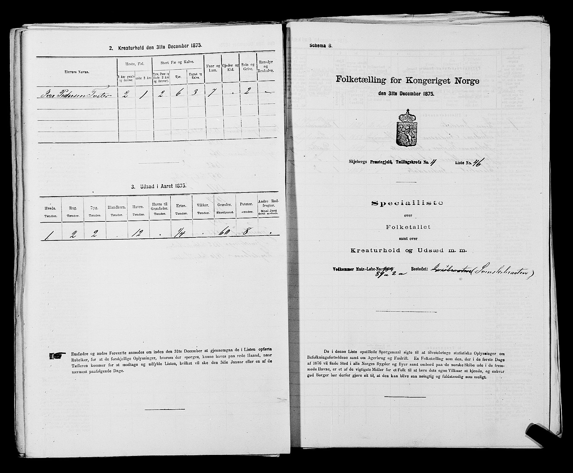 RA, 1875 census for 0115P Skjeberg, 1875, p. 800