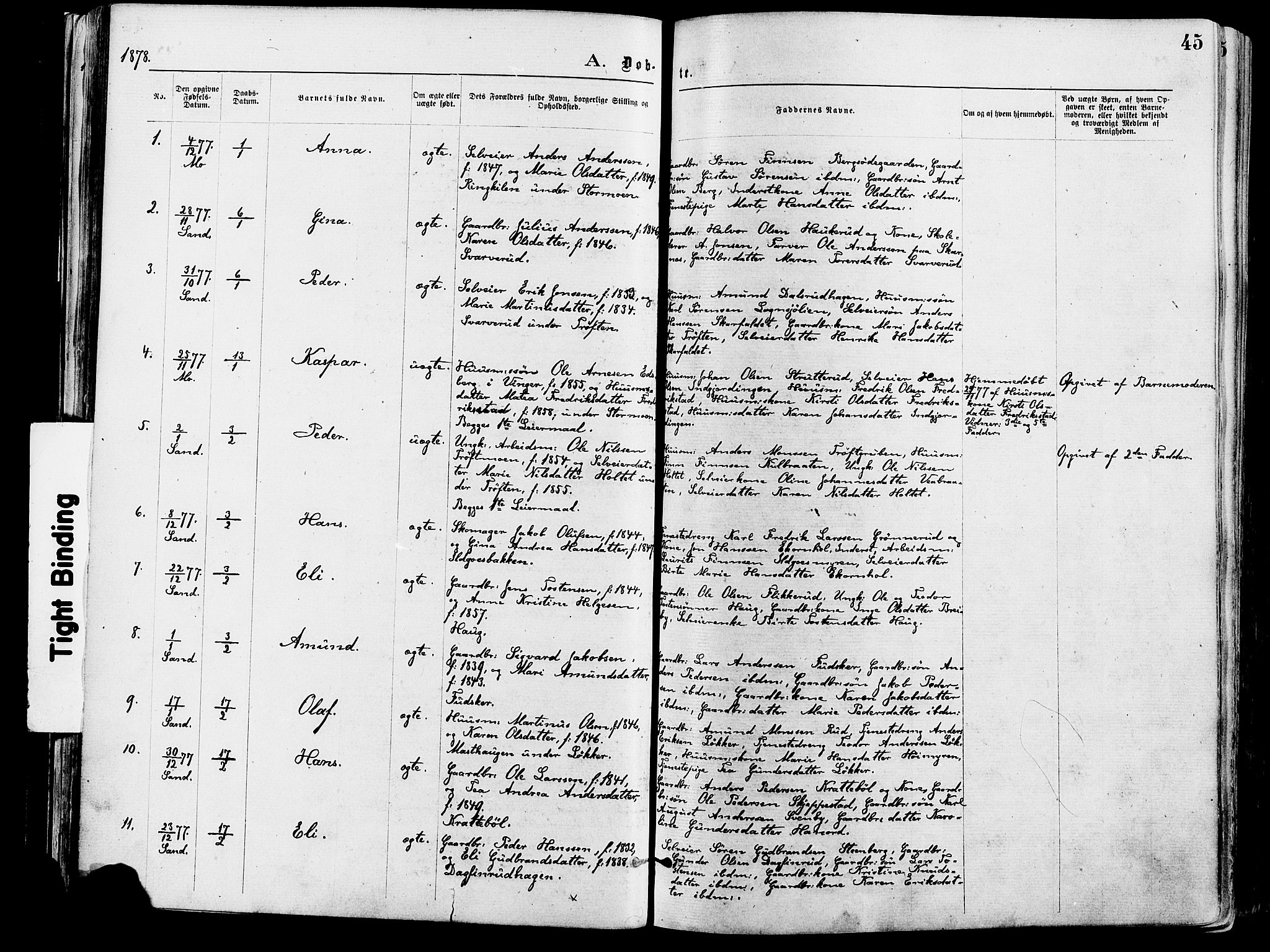 Nord-Odal prestekontor, AV/SAH-PREST-032/H/Ha/Haa/L0005: Parish register (official) no. 5, 1874-1885, p. 45