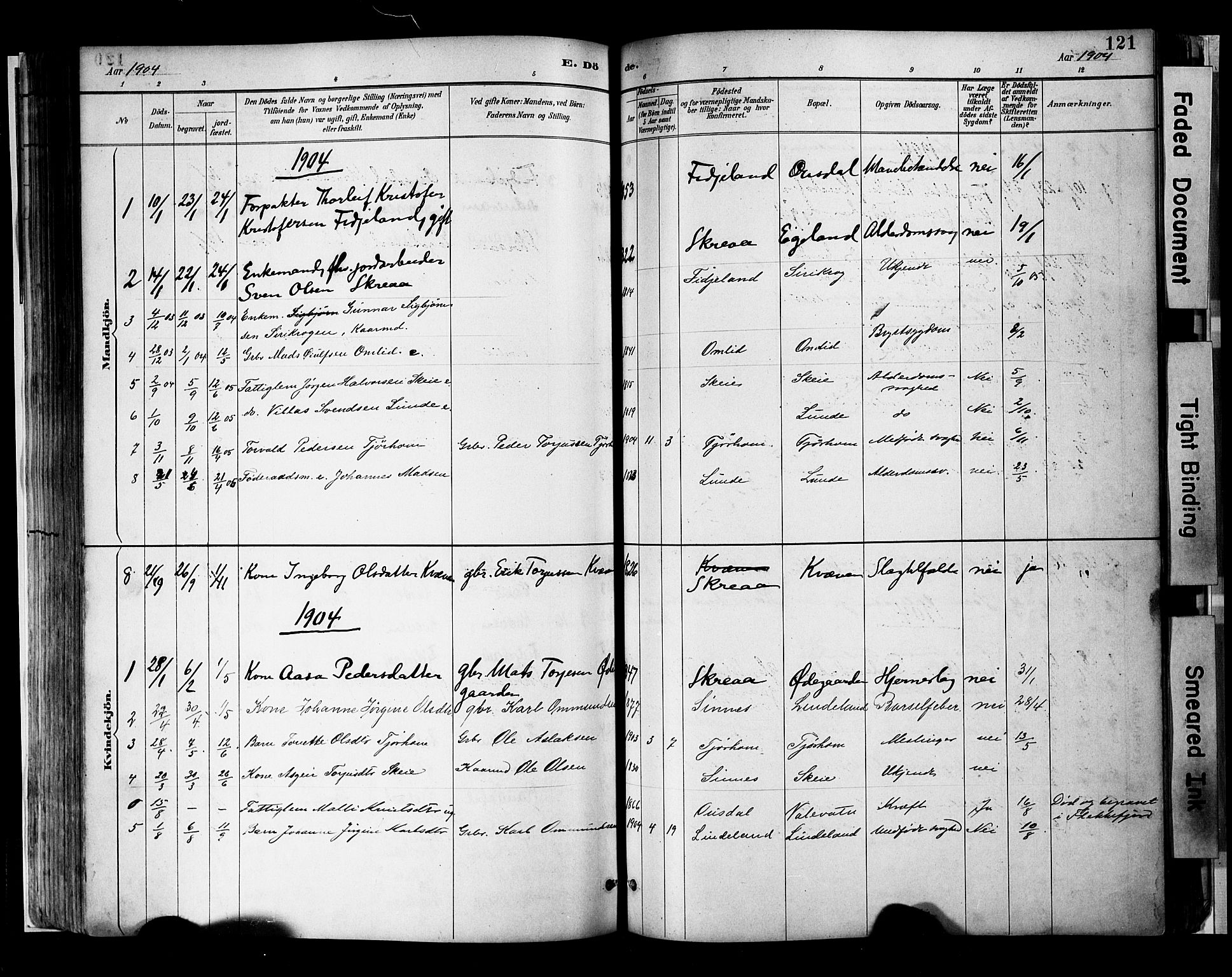 Sirdal sokneprestkontor, SAK/1111-0036/F/Fa/Faa/L0001: Parish register (official) no. A 1, 1887-1910, p. 121