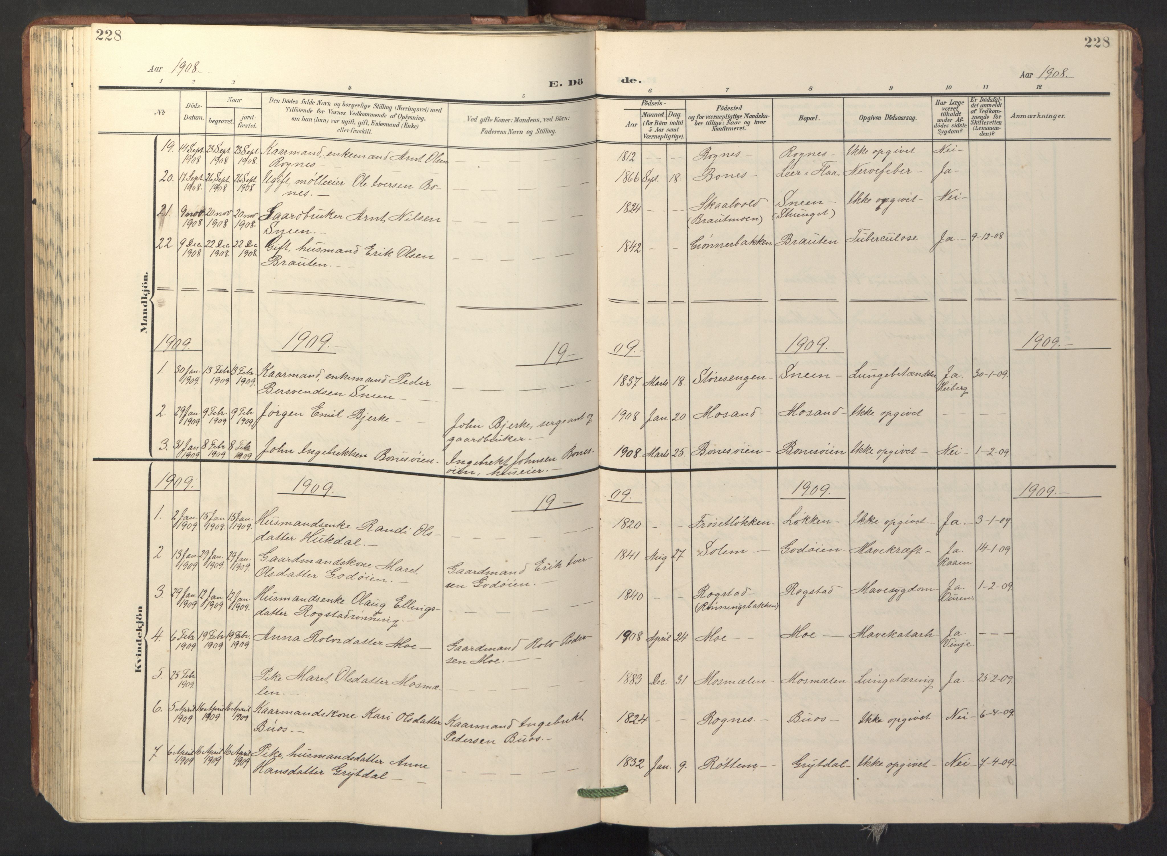 Ministerialprotokoller, klokkerbøker og fødselsregistre - Sør-Trøndelag, SAT/A-1456/687/L1019: Parish register (copy) no. 687C03, 1904-1931, p. 228