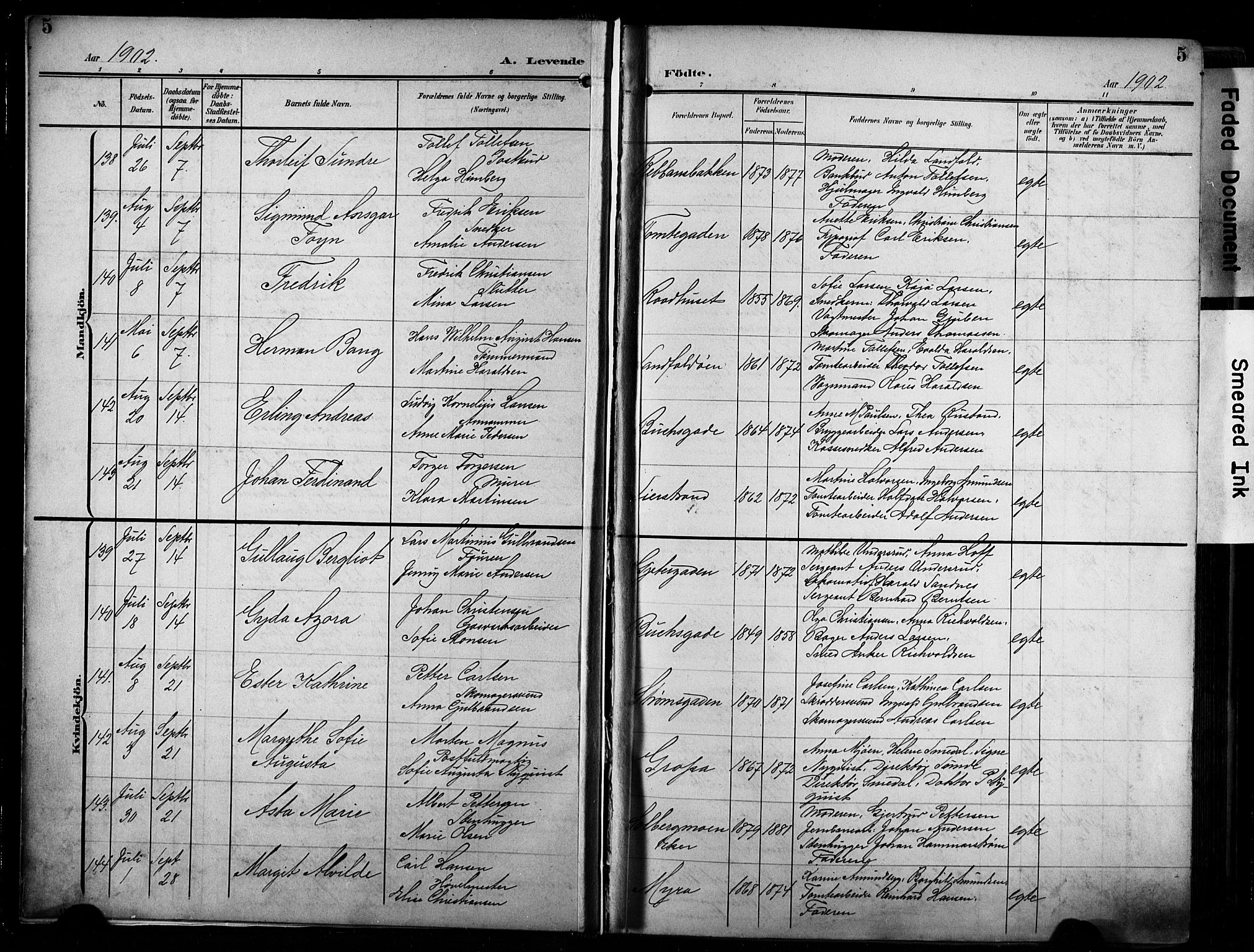 Bragernes kirkebøker, AV/SAKO-A-6/F/Fb/L0009: Parish register (official) no. II 9, 1902-1911, p. 5