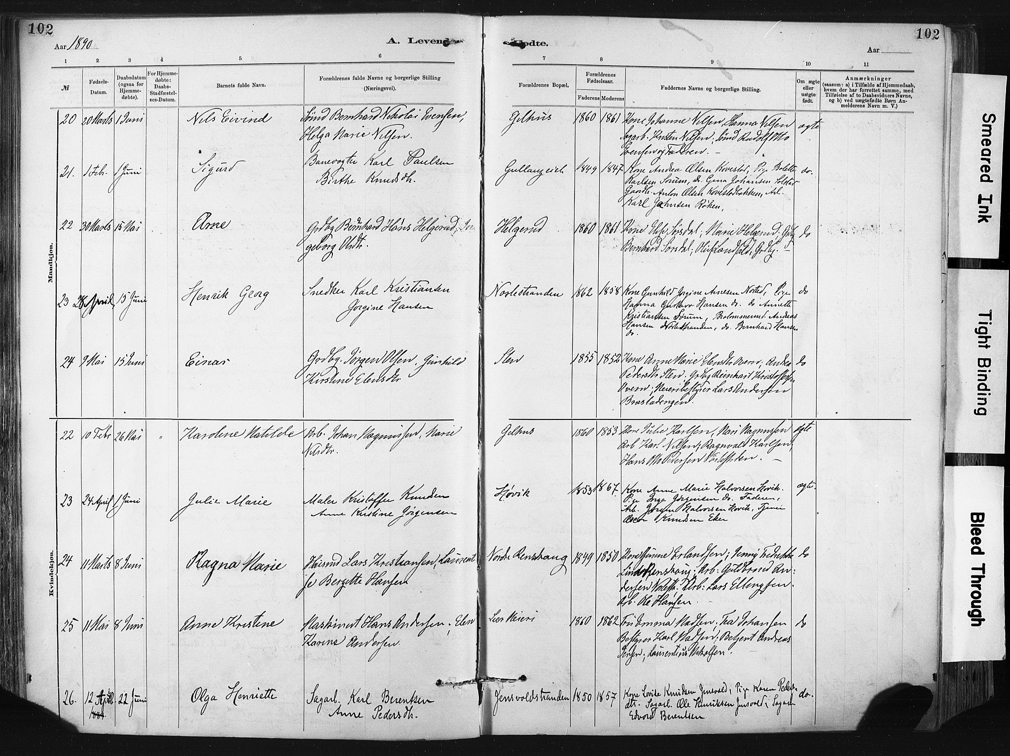 Lier kirkebøker, AV/SAKO-A-230/F/Fa/L0015: Parish register (official) no. I 15, 1883-1894, p. 102