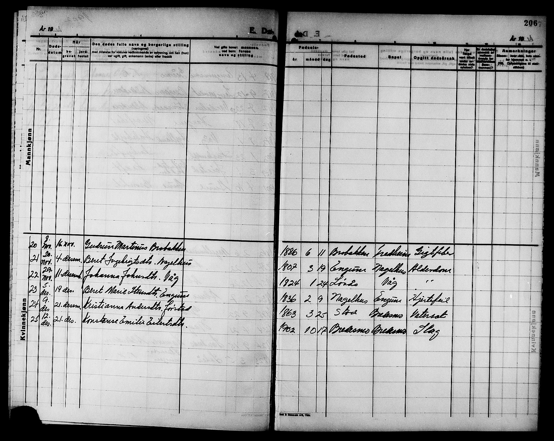 Ministerialprotokoller, klokkerbøker og fødselsregistre - Nord-Trøndelag, AV/SAT-A-1458/749/L0487: Parish register (official) no. 749D03, 1887-1902, p. 206