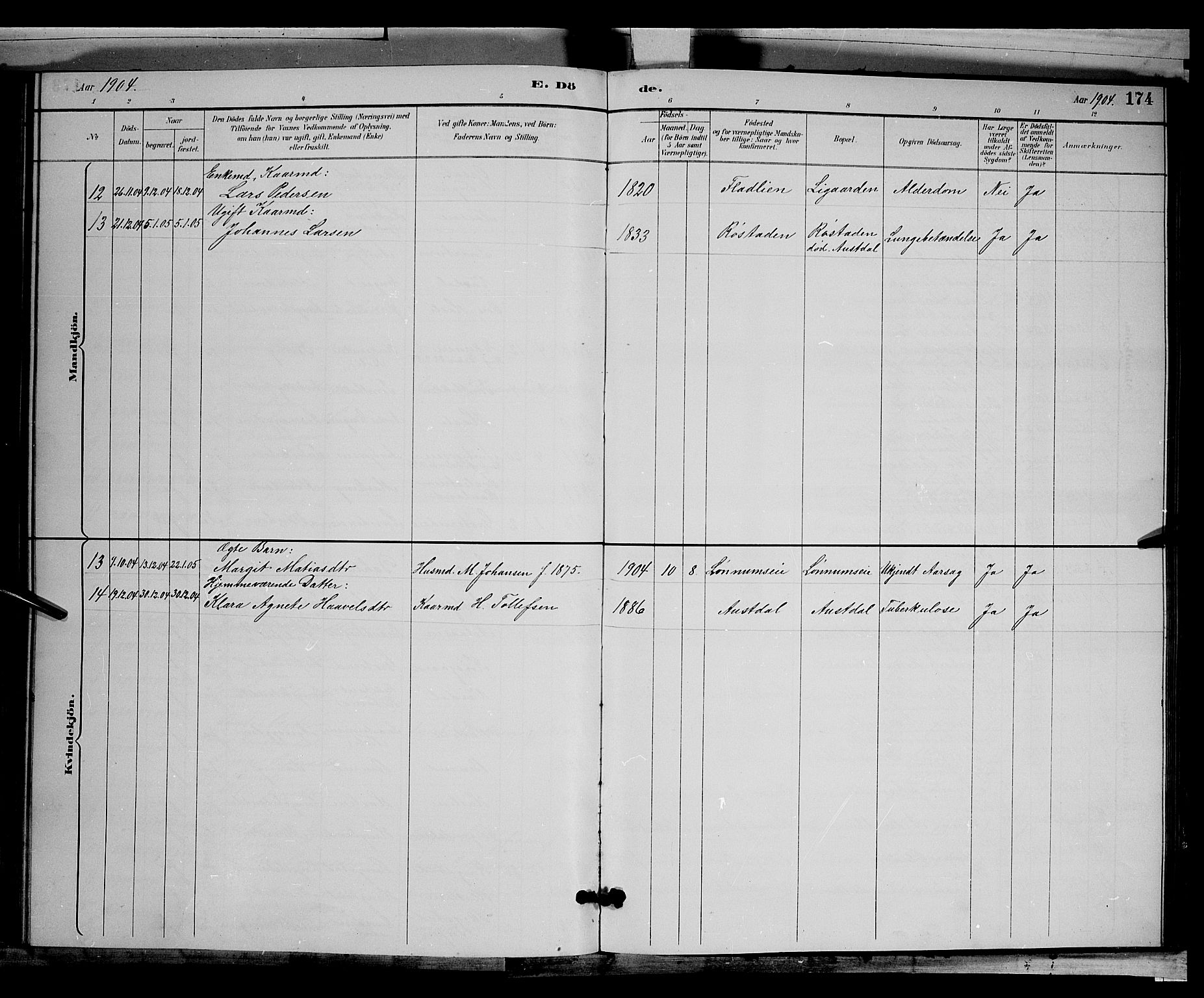 Biri prestekontor, AV/SAH-PREST-096/H/Ha/Hab/L0003: Parish register (copy) no. 3, 1892-1905, p. 174