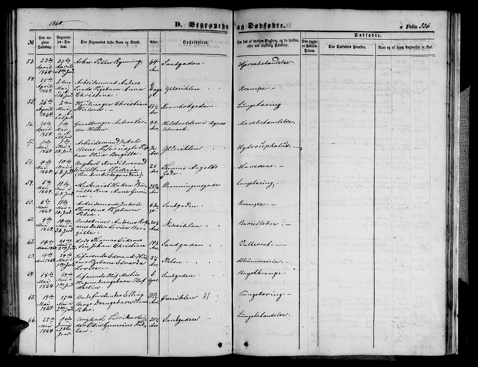 Ministerialprotokoller, klokkerbøker og fødselsregistre - Sør-Trøndelag, AV/SAT-A-1456/602/L0139: Parish register (copy) no. 602C07, 1859-1864, p. 336