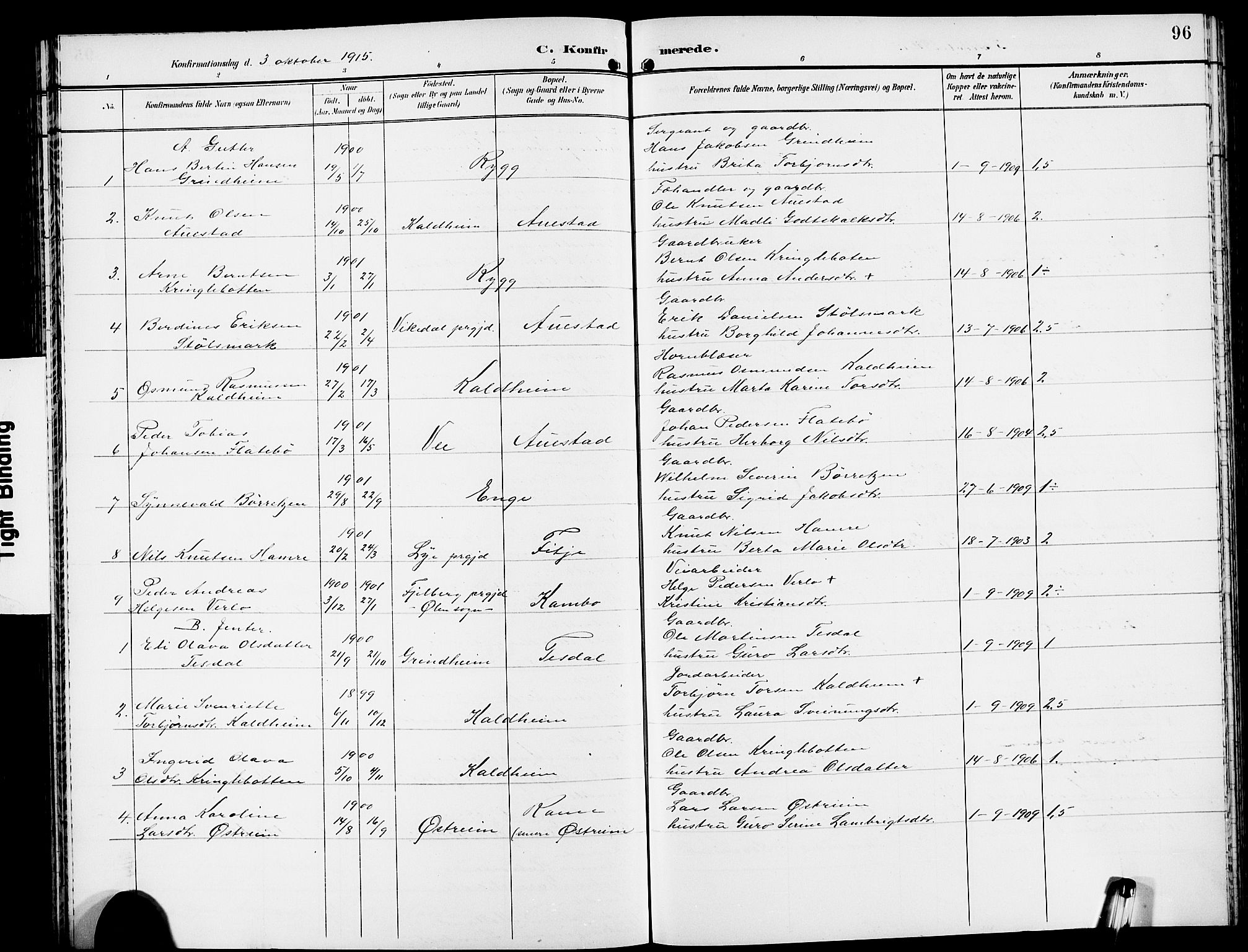 Etne sokneprestembete, SAB/A-75001/H/Hab: Parish register (copy) no. A 6, 1897-1924, p. 96