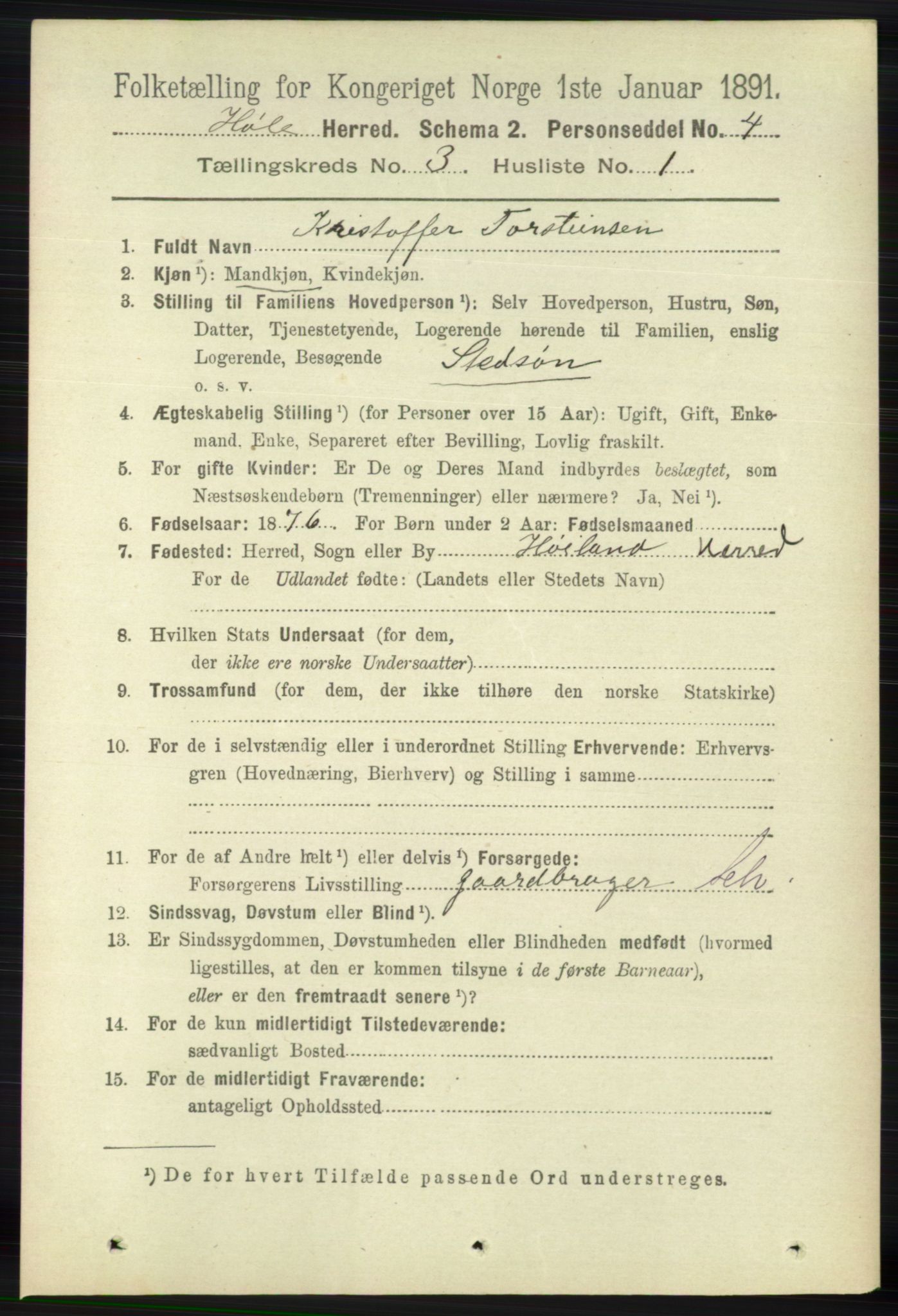 RA, 1891 census for 1128 Høle, 1891, p. 652