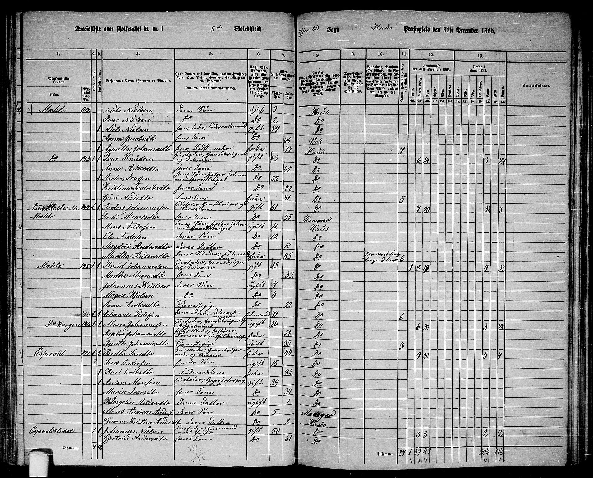 RA, 1865 census for Haus, 1865, p. 163