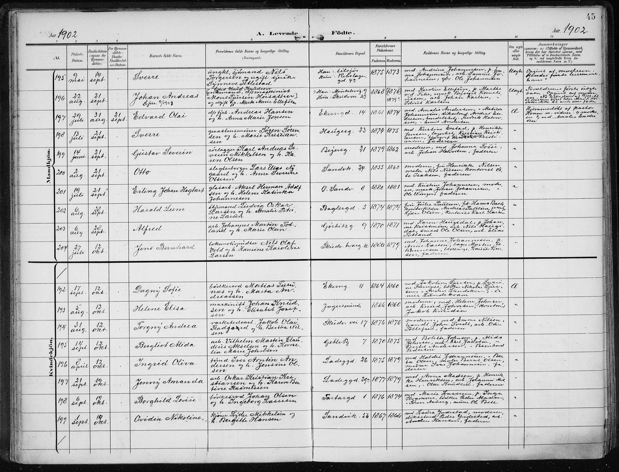 Sandviken Sokneprestembete, AV/SAB-A-77601/H/Ha/L0006: Parish register (official) no. B 3, 1901-1912, p. 45