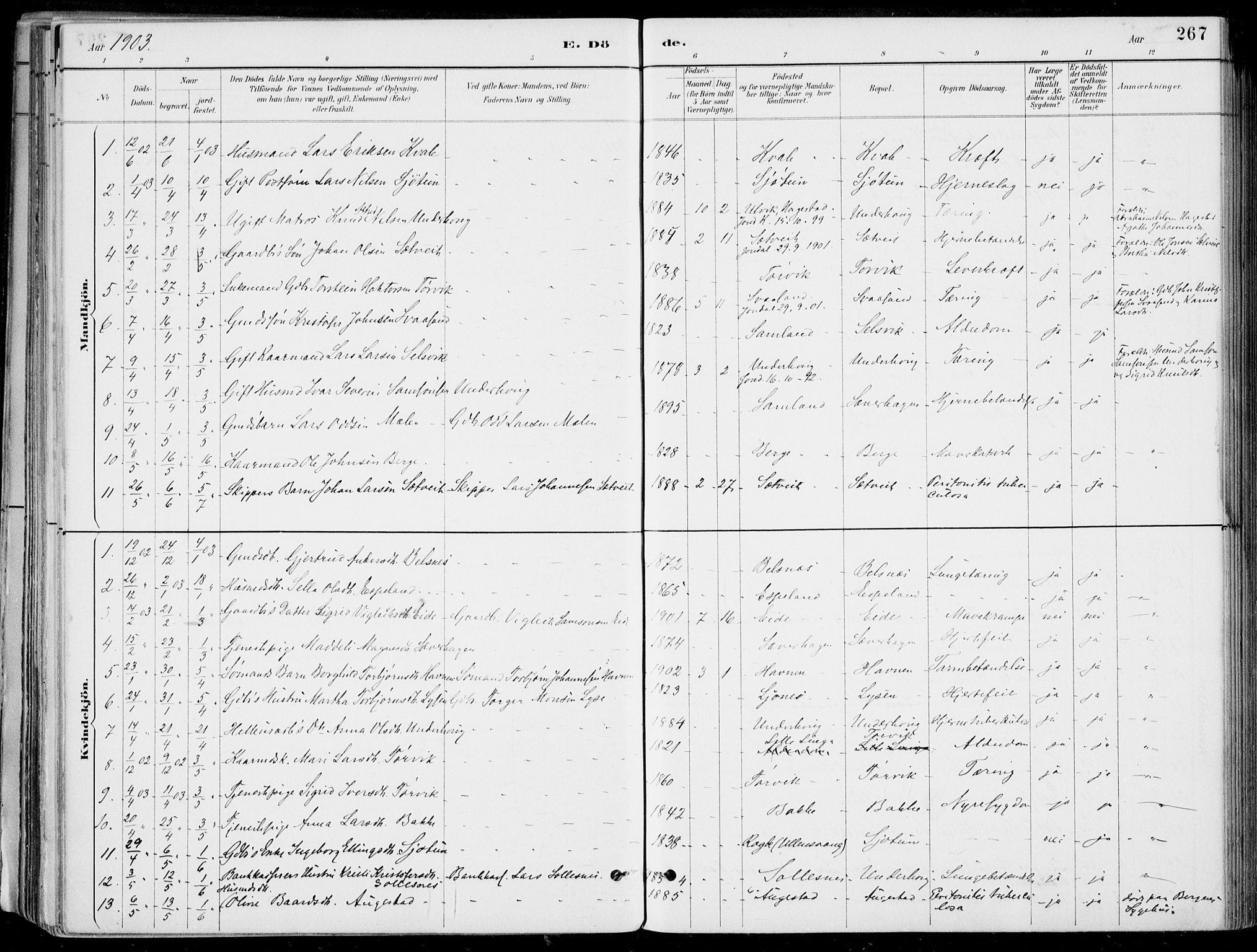 Strandebarm sokneprestembete, SAB/A-78401/H/Haa: Parish register (official) no. E  1, 1886-1908, p. 267