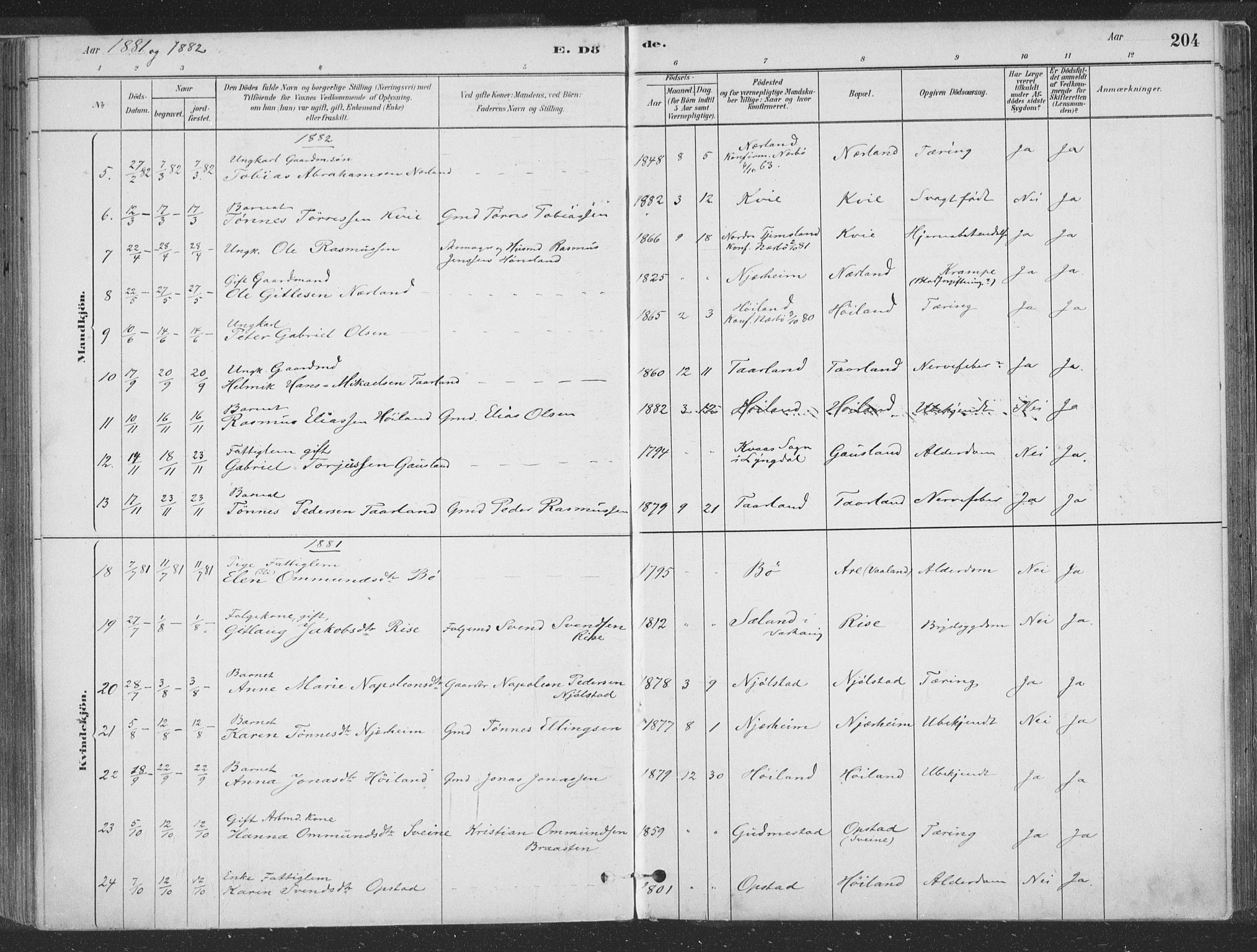 Hå sokneprestkontor, SAST/A-101801/001/30BA/L0010: Parish register (official) no. A 9, 1879-1896, p. 204