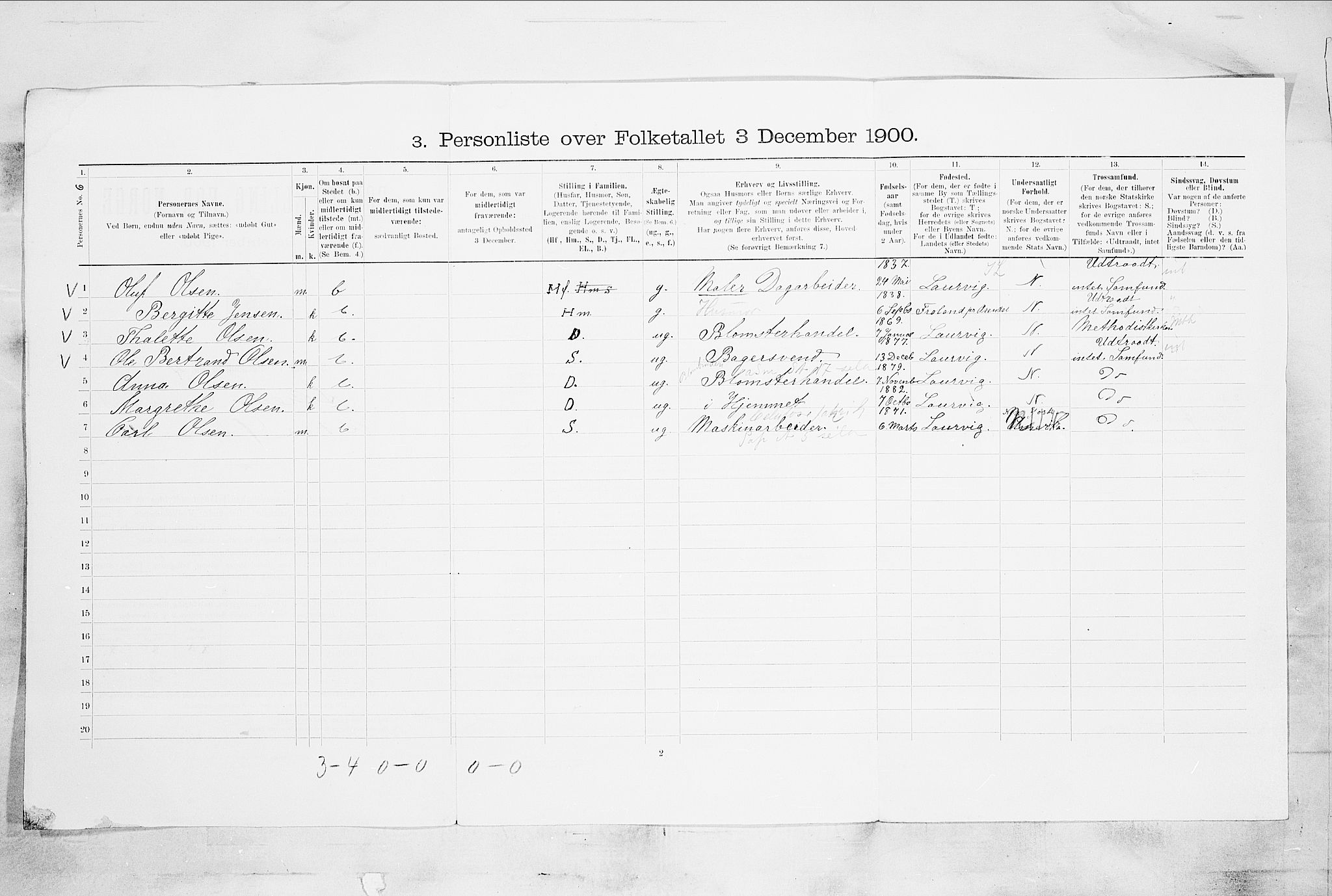 SAKO, 1900 census for Skien, 1900, p. 3307