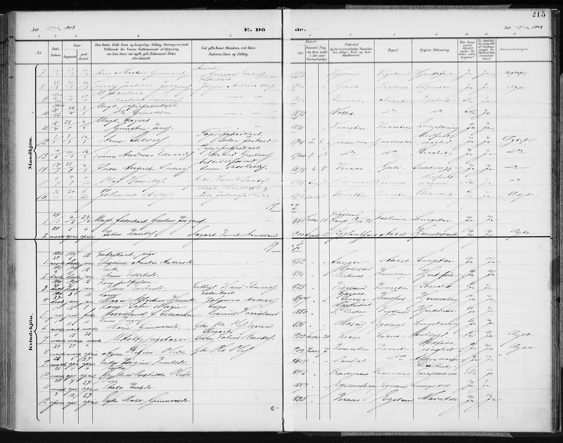 Vennesla sokneprestkontor, AV/SAK-1111-0045/Fa/Fab/L0005: Parish register (official) no. A 5, 1897-1909, p. 215