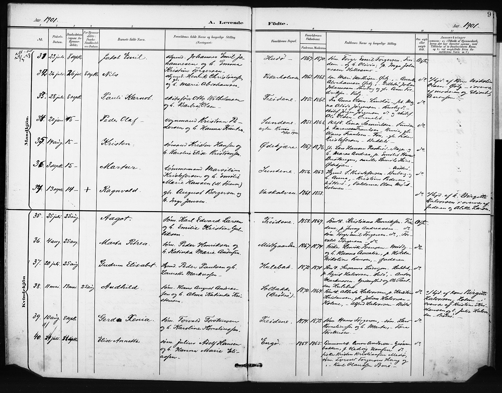 Tjøme kirkebøker, AV/SAKO-A-328/F/Fa/L0005: Parish register (official) no. I 5, 1901-1909, p. 9