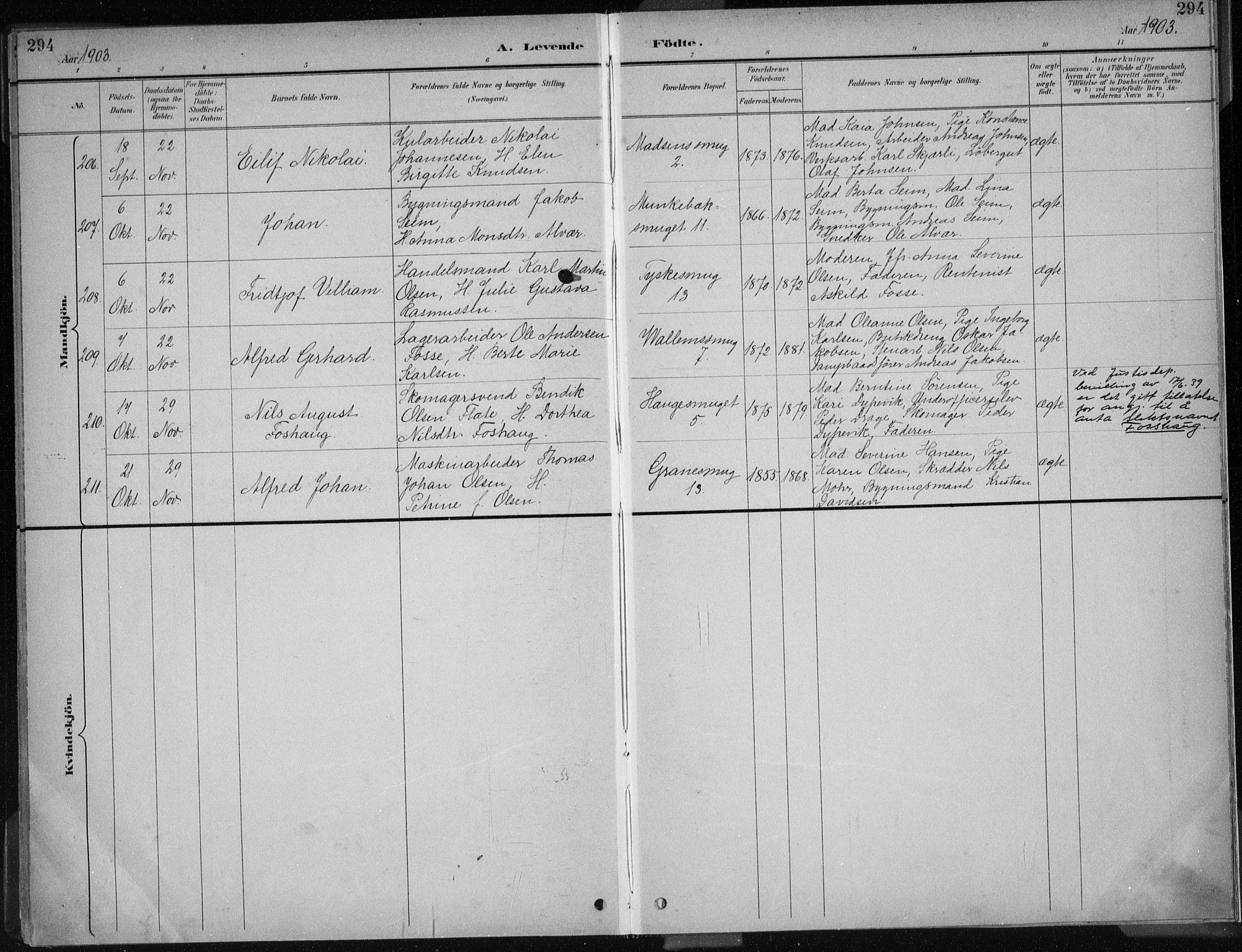 Nykirken Sokneprestembete, AV/SAB-A-77101/H/Haa/L0018: Parish register (official) no. B 6, 1895-1903, p. 294