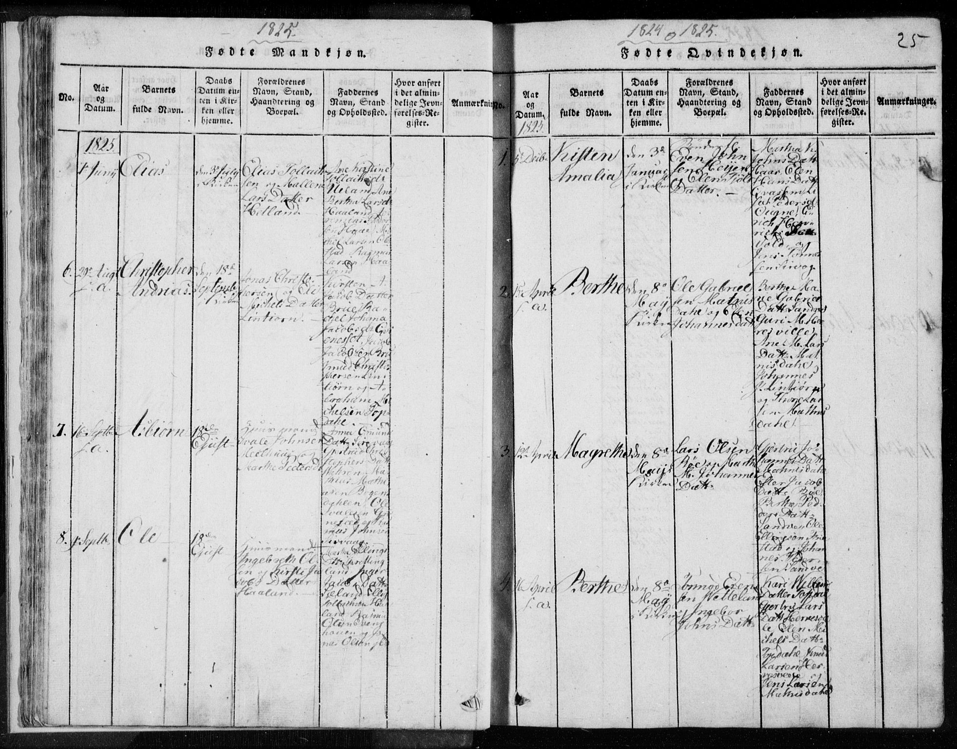 Eigersund sokneprestkontor, SAST/A-101807/S08/L0008: Parish register (official) no. A 8, 1816-1847, p. 25