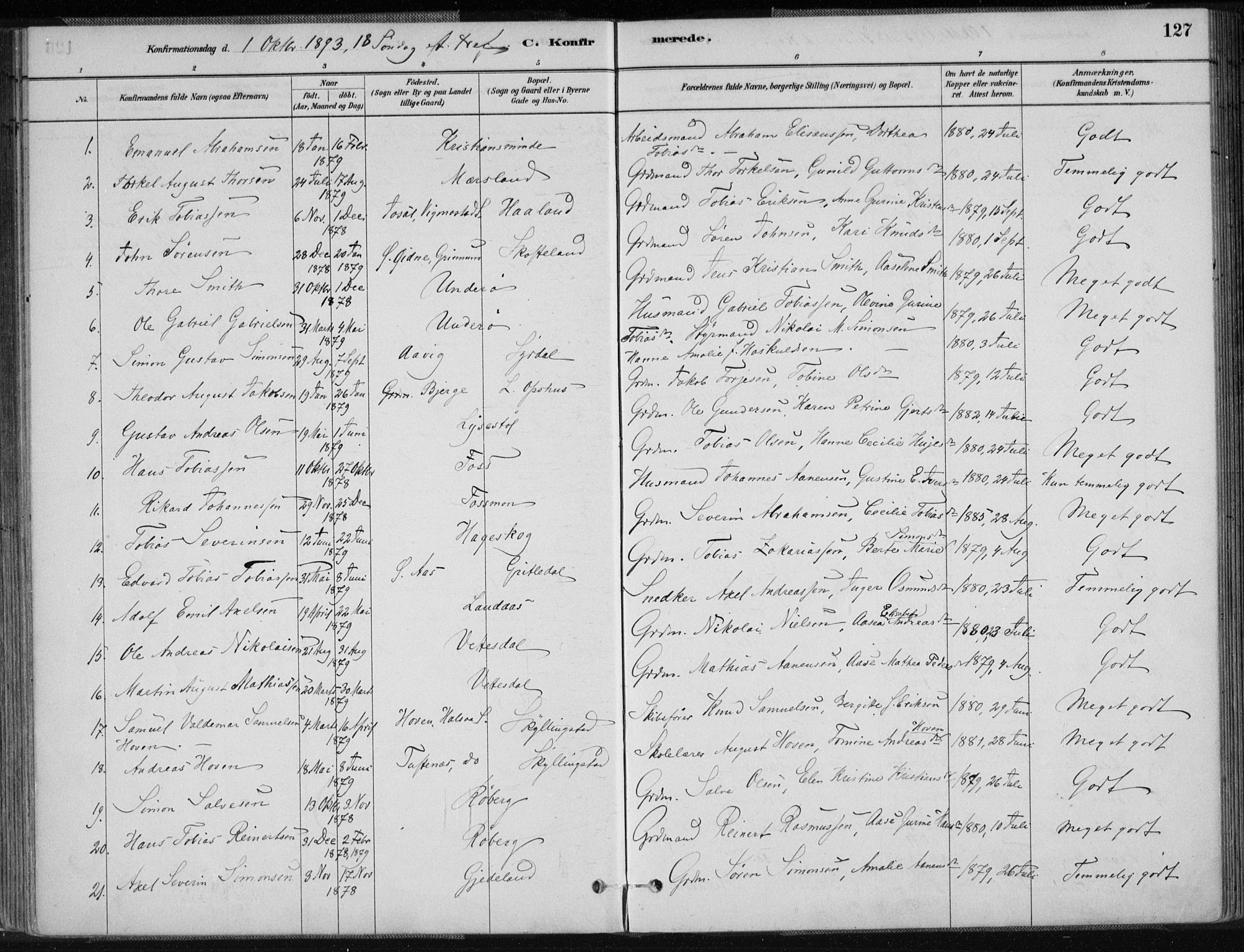 Sør-Audnedal sokneprestkontor, AV/SAK-1111-0039/F/Fa/Fab/L0009: Parish register (official) no. A 9, 1880-1895, p. 127