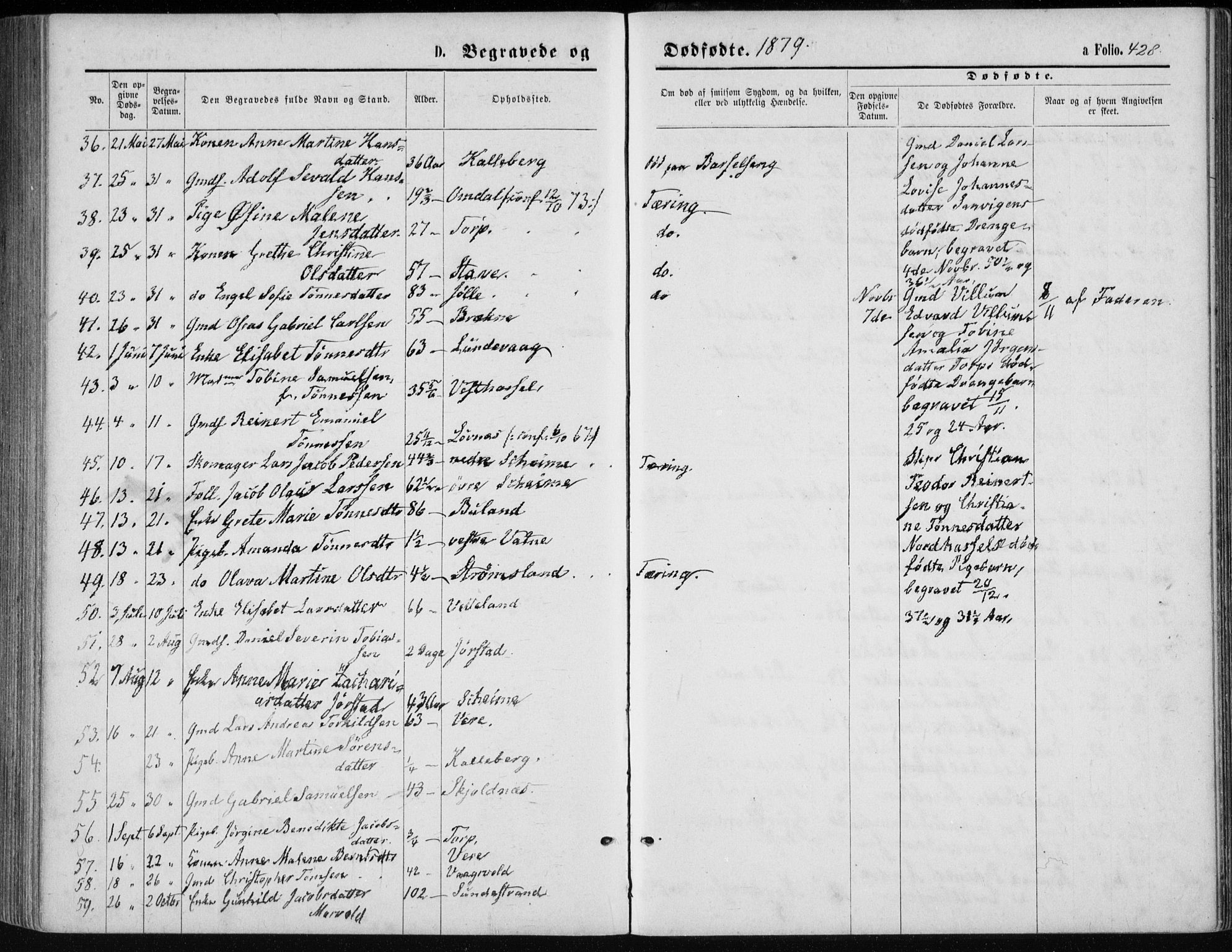 Lista sokneprestkontor, AV/SAK-1111-0027/F/Fb/L0004: Parish register (copy) no. B 4, 1877-1891, p. 428