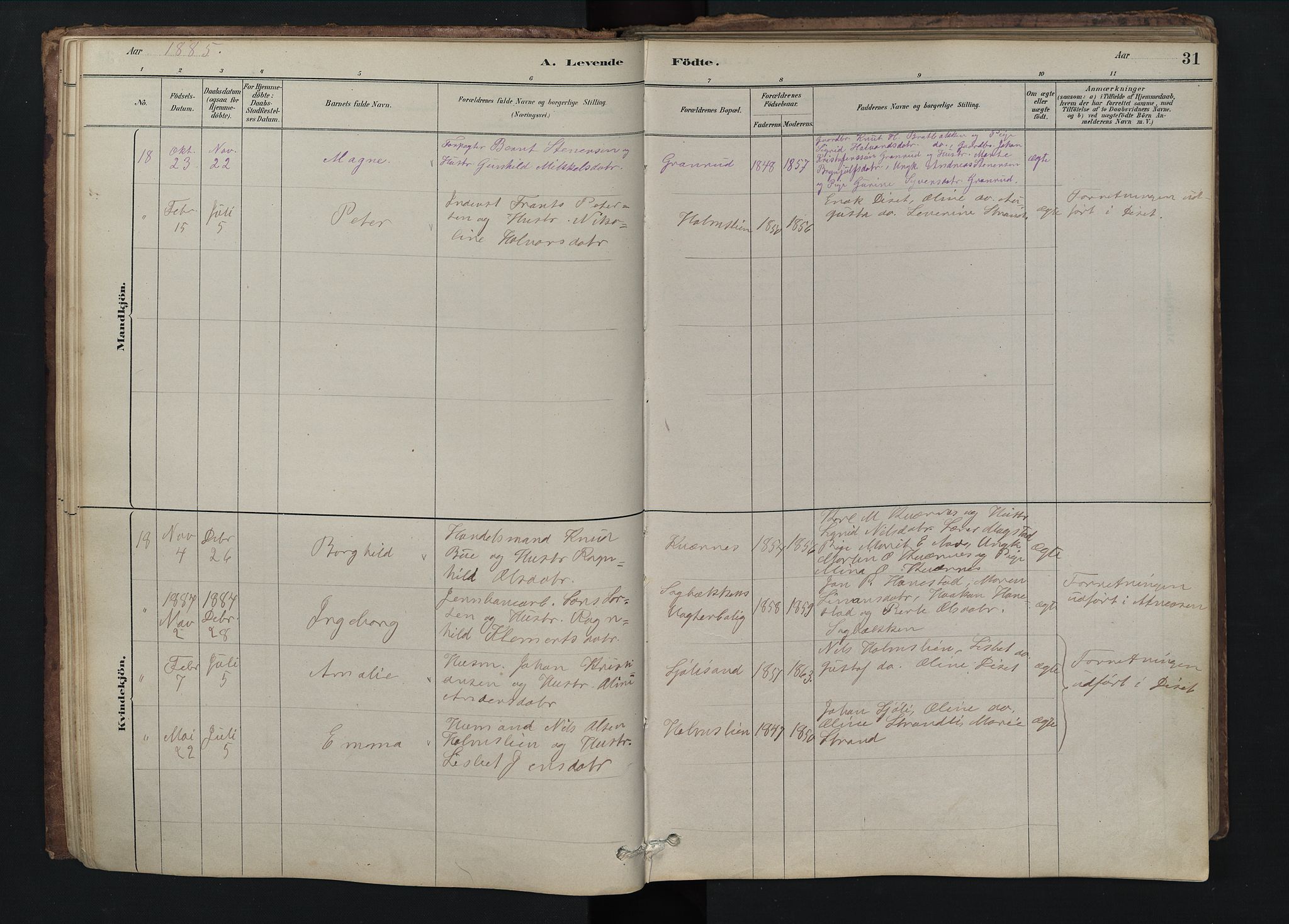 Rendalen prestekontor, SAH/PREST-054/H/Ha/Hab/L0009: Parish register (copy) no. 9, 1879-1902, p. 31