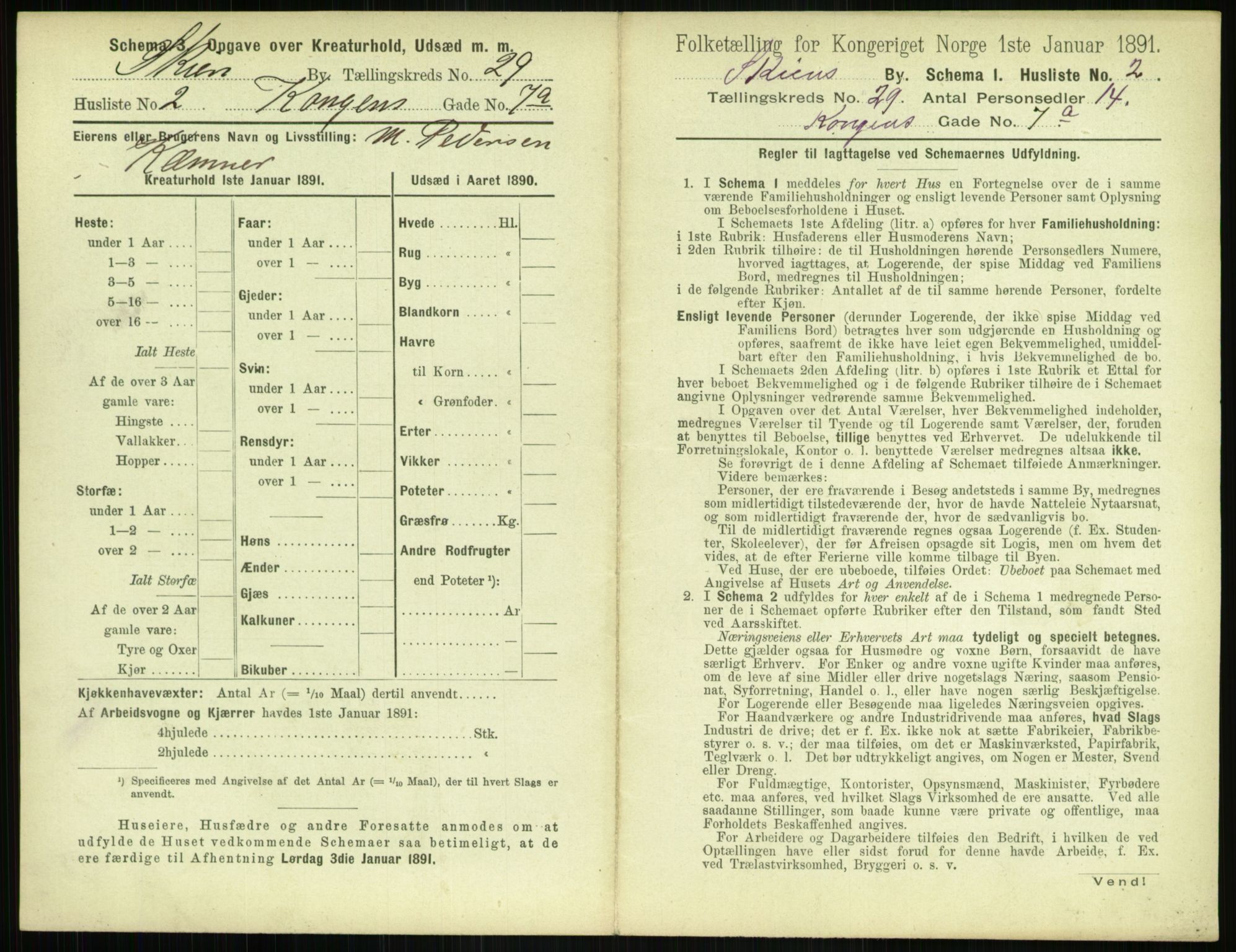 RA, 1891 census for 0806 Skien, 1891, p. 1072