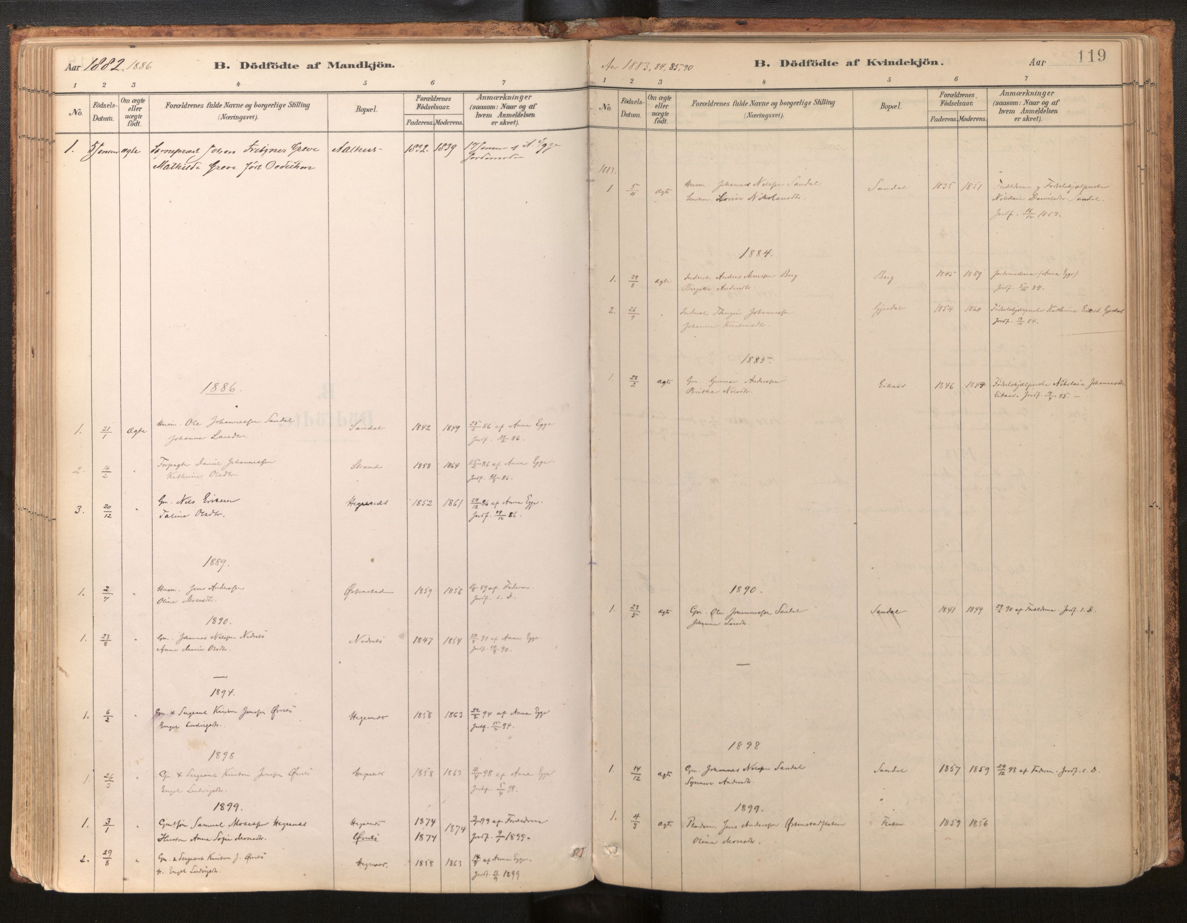 Jølster sokneprestembete, SAB/A-80701/H/Haa/Haab/L0001: Parish register (official) no. B 1, 1882-1930, p. 119