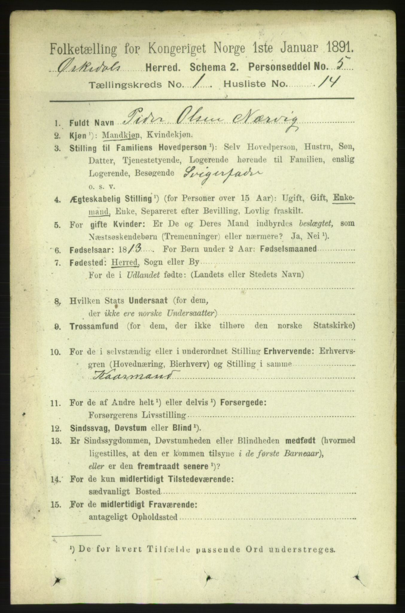 RA, 1891 census for 1638 Orkdal, 1891, p. 226