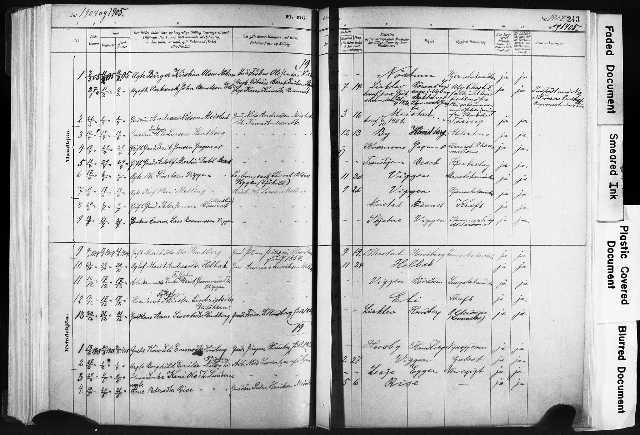 Ministerialprotokoller, klokkerbøker og fødselsregistre - Sør-Trøndelag, SAT/A-1456/665/L0773: Parish register (official) no. 665A08, 1879-1905, p. 243