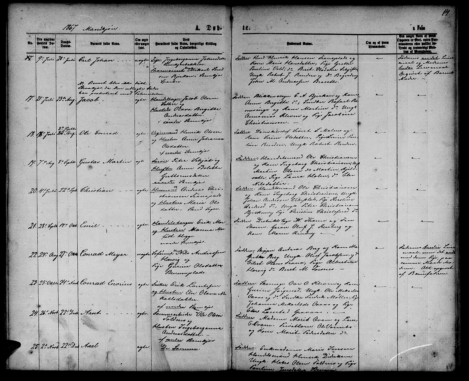 Ministerialprotokoller, klokkerbøker og fødselsregistre - Nord-Trøndelag, AV/SAT-A-1458/739/L0373: Parish register (copy) no. 739C01, 1865-1882, p. 14