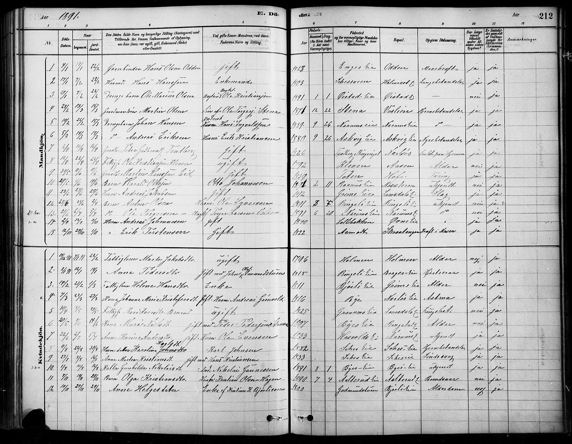 Søndre Land prestekontor, SAH/PREST-122/K/L0003: Parish register (official) no. 3, 1878-1894, p. 212