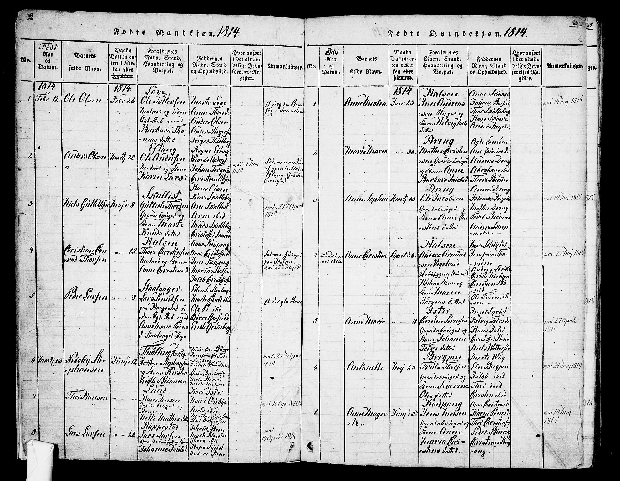 Tjølling kirkebøker, SAKO/A-60/F/Fa/L0005: Parish register (official) no. 5, 1814-1836, p. 2-3