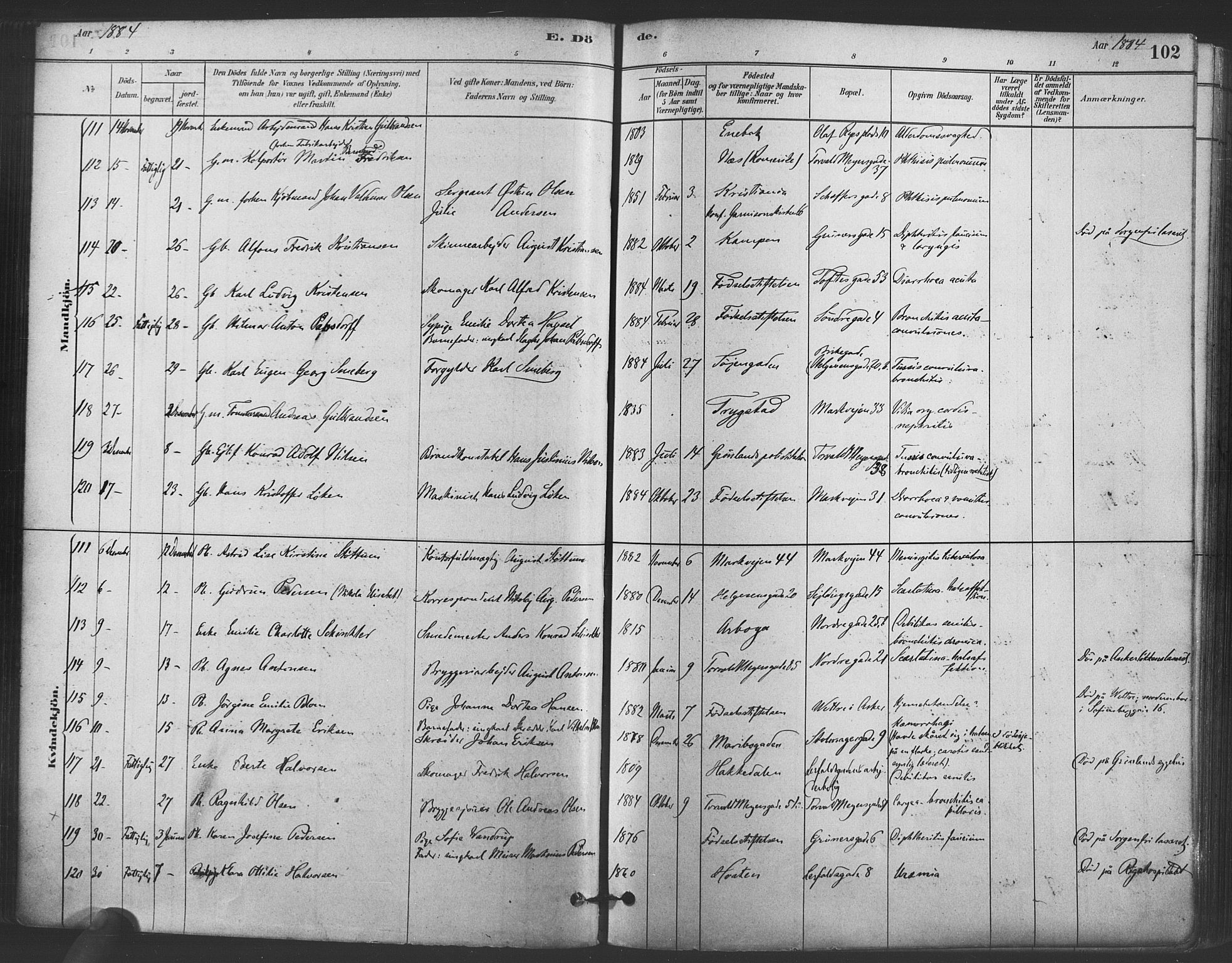 Paulus prestekontor Kirkebøker, AV/SAO-A-10871/F/Fa/L0005: Parish register (official) no. 5, 1879-1889, p. 102