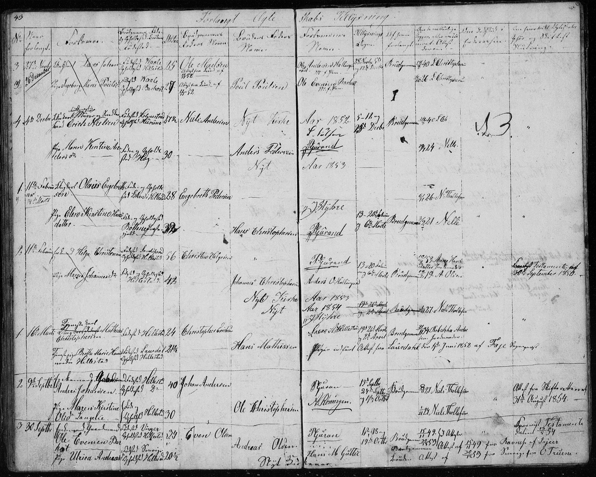 Botne kirkebøker, AV/SAKO-A-340/G/Gb/L0001: Parish register (copy) no. II 1, 1848-1860, p. 43