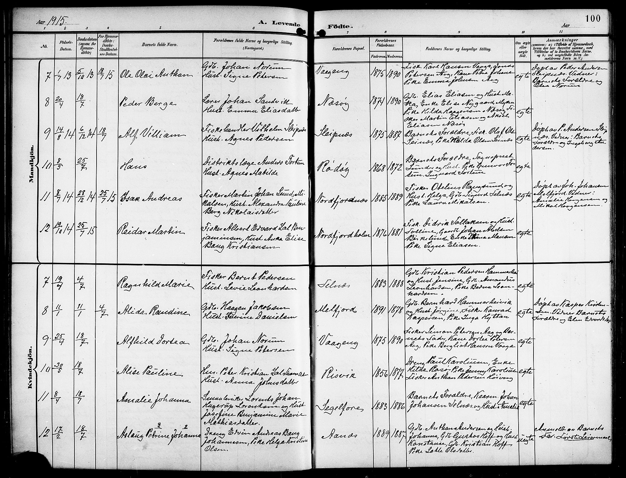 Ministerialprotokoller, klokkerbøker og fødselsregistre - Nordland, AV/SAT-A-1459/841/L0621: Parish register (copy) no. 841C05, 1897-1923, p. 100