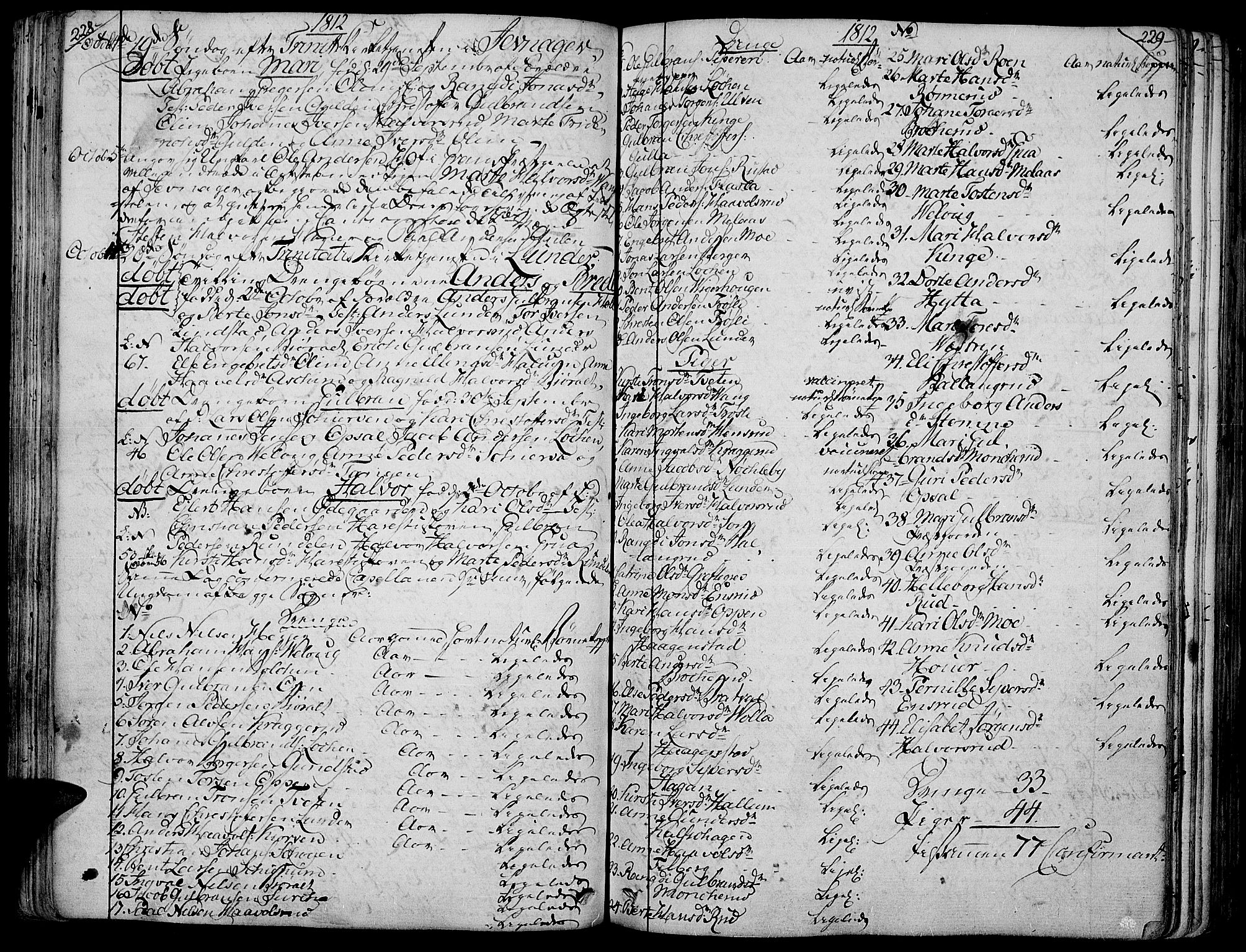 Jevnaker prestekontor, AV/SAH-PREST-116/H/Ha/Haa/L0004: Parish register (official) no. 4, 1800-1861, p. 228-229