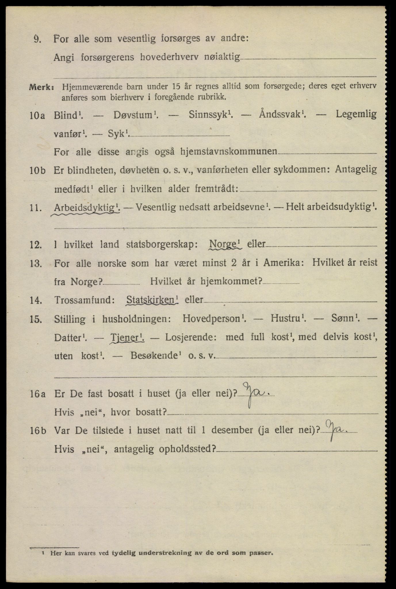 SAKO, 1920 census for Hønefoss, 1920, p. 6973