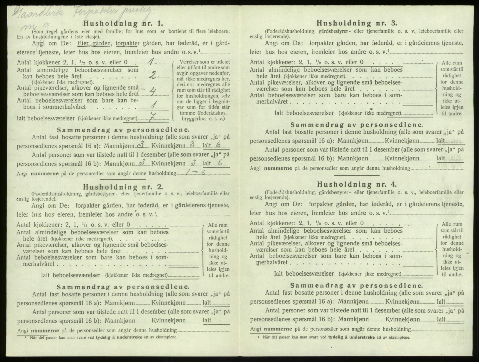 SAB, 1920 census for Lærdal, 1920, p. 300