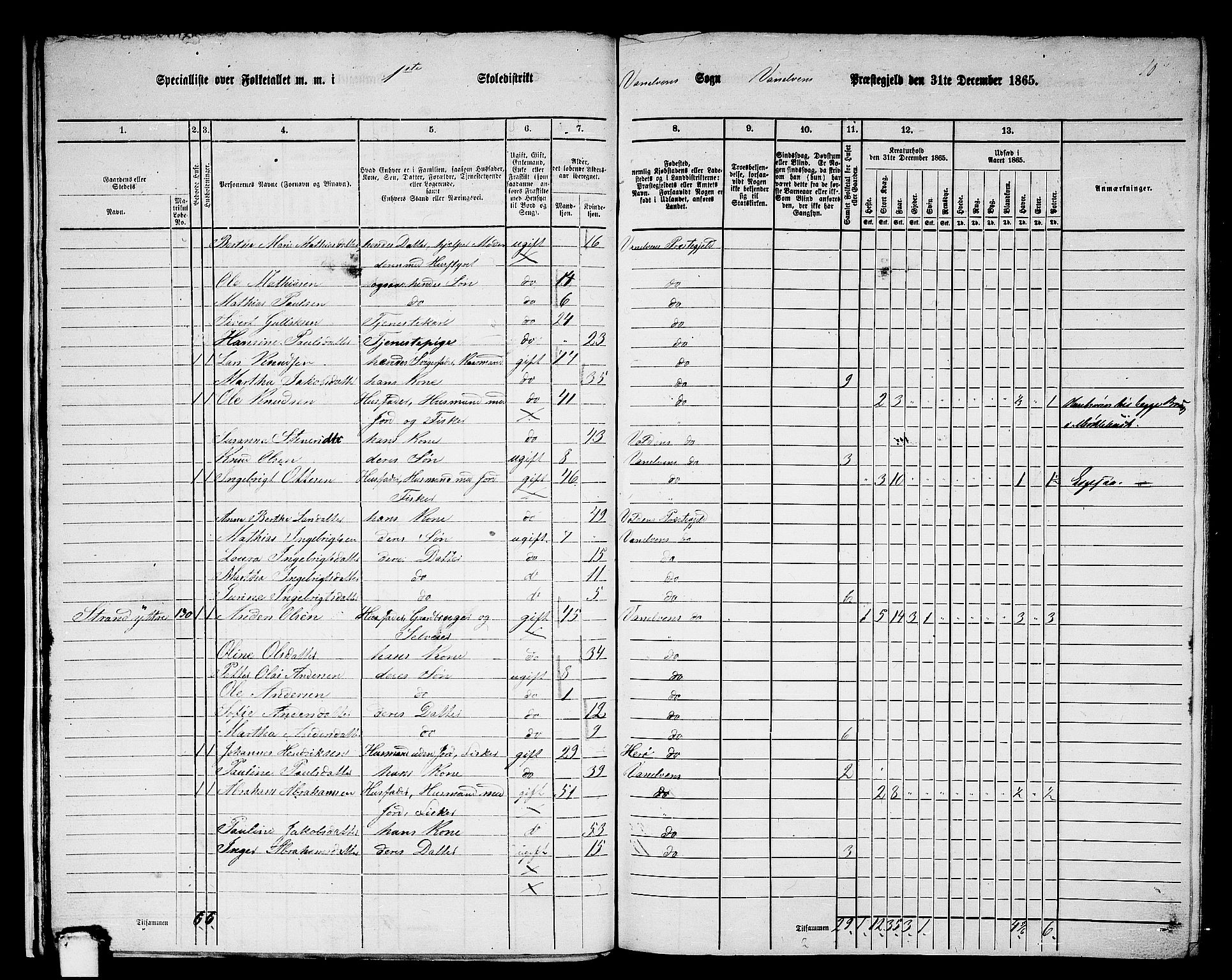 RA, 1865 census for Vanylven, 1865, p. 21