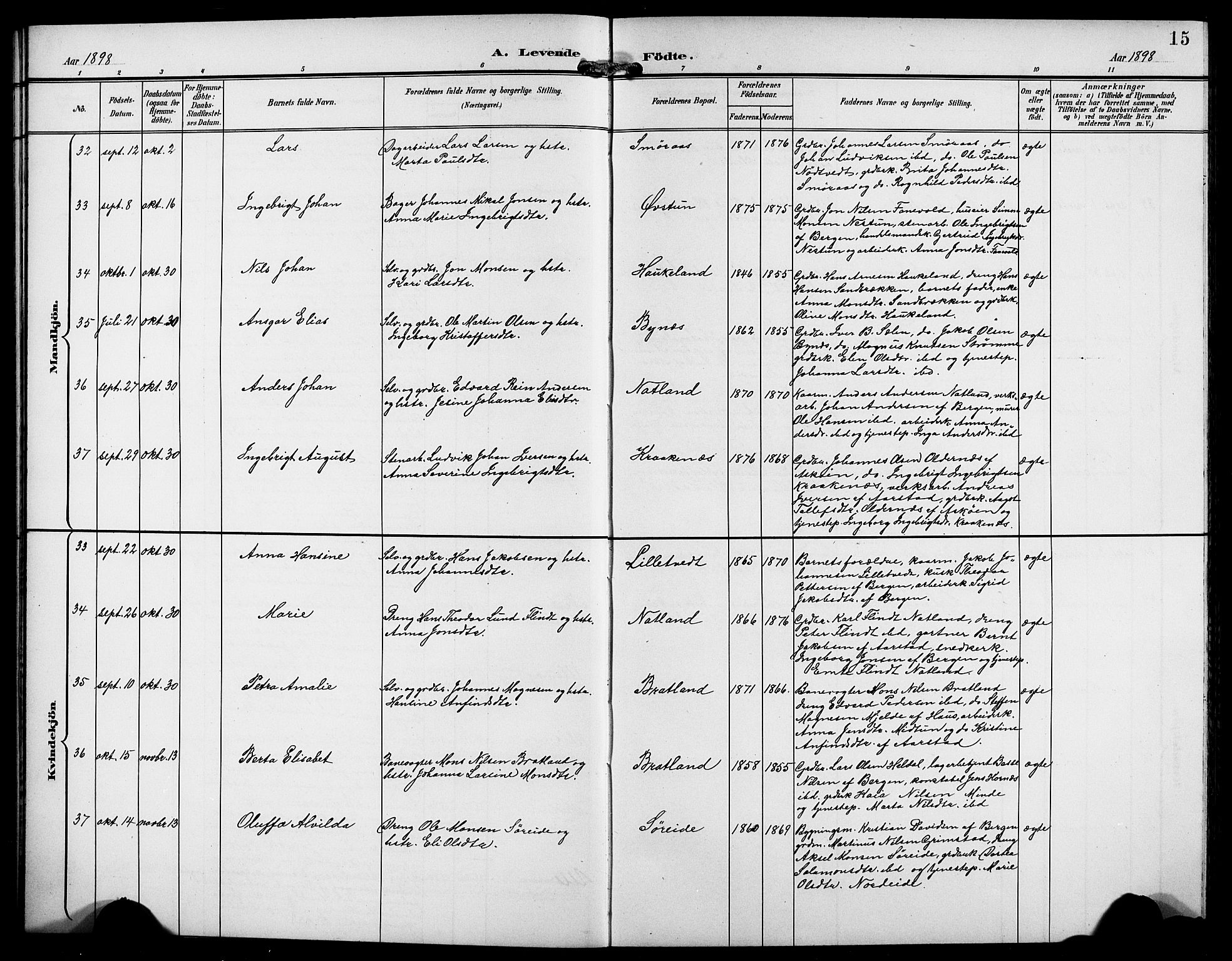 Birkeland Sokneprestembete, AV/SAB-A-74601/H/Hab: Parish register (copy) no. A 5, 1897-1905, p. 15