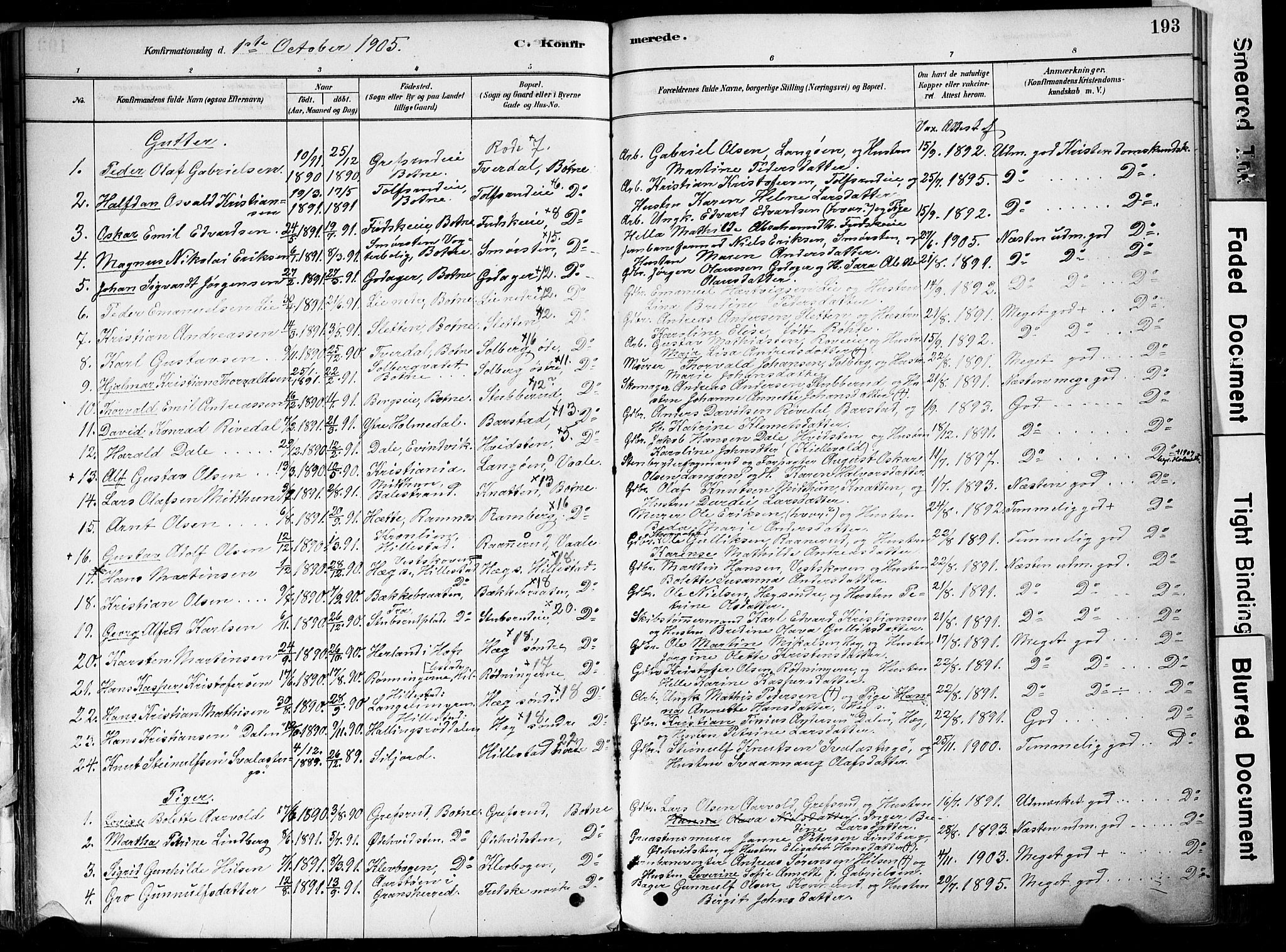 Botne kirkebøker, SAKO/A-340/F/Fa/L0007: Parish register (official) no. I 7, 1878-1910, p. 193