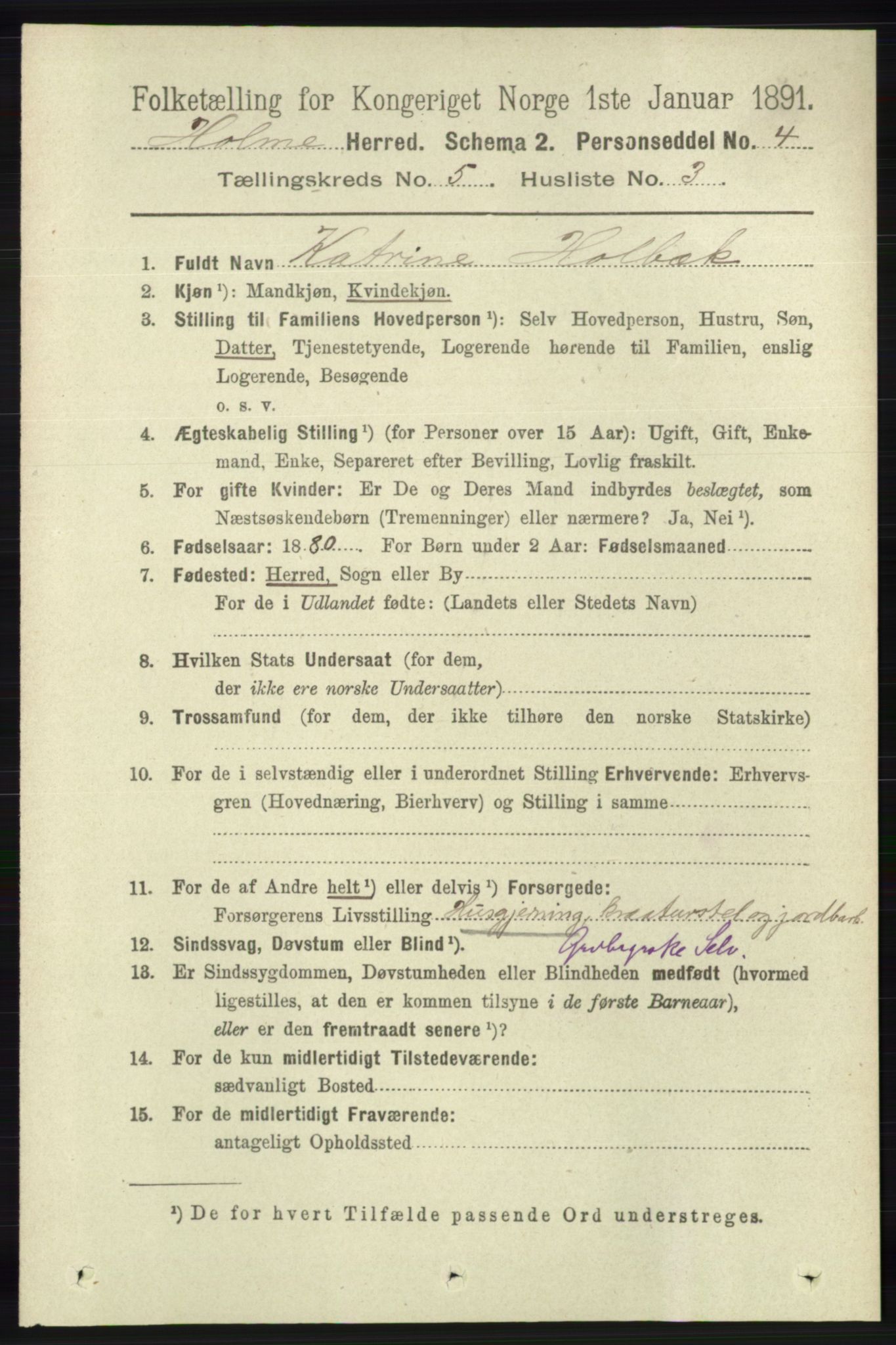 RA, 1891 census for 1020 Holum, 1891, p. 1247