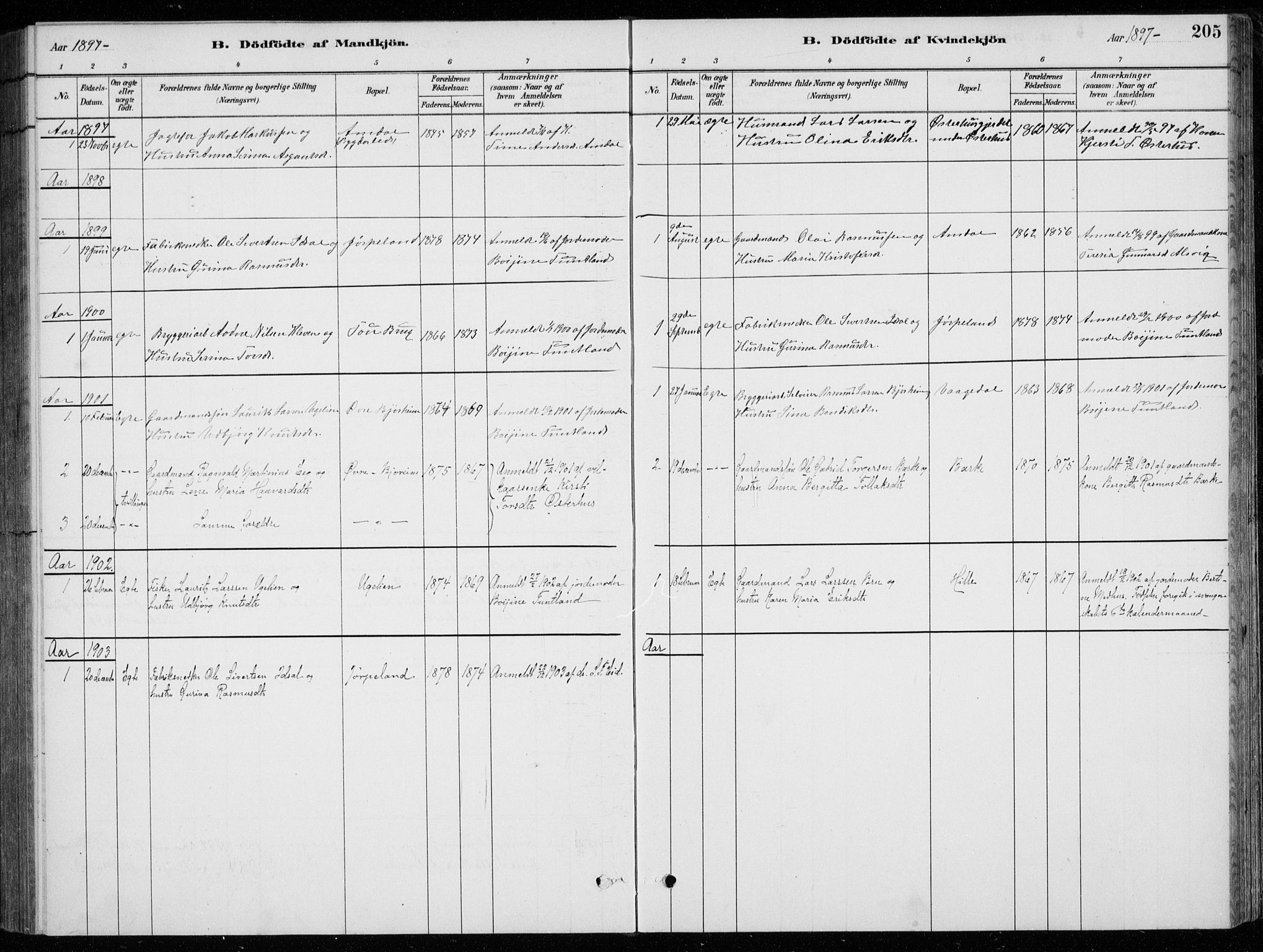 Strand sokneprestkontor, SAST/A-101828/H/Ha/Hab/L0004: Parish register (copy) no. B 4, 1878-1903, p. 205