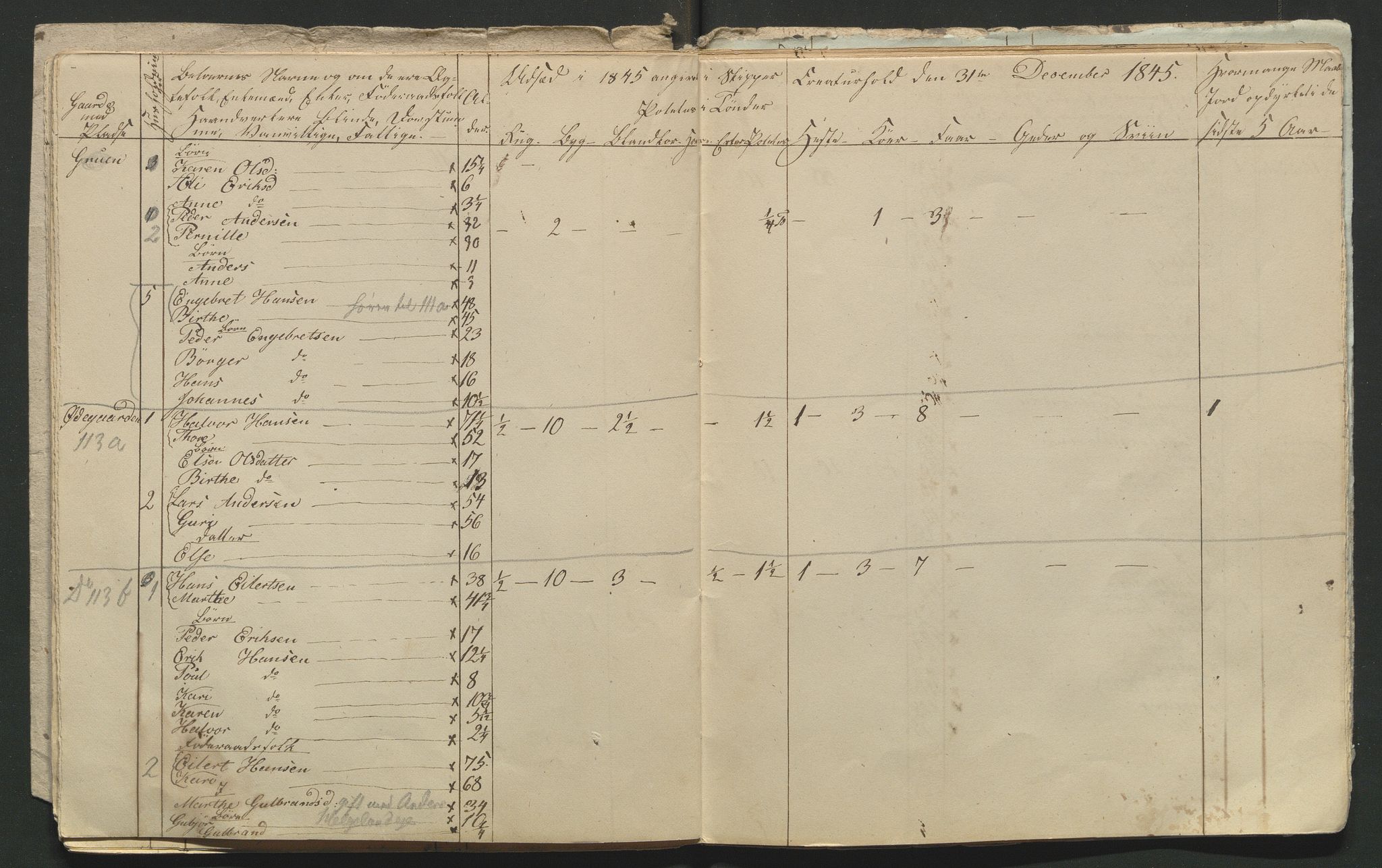 SAH, 1845 Census for Jevnaker parish, 1845, p. 117