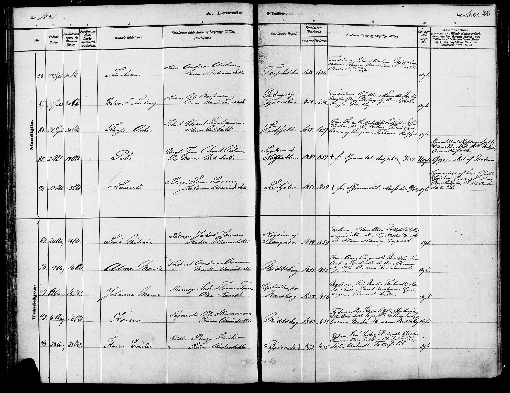 Eidskog prestekontor, SAH/PREST-026/H/Ha/Haa/L0003: Parish register (official) no. 3, 1879-1892, p. 36