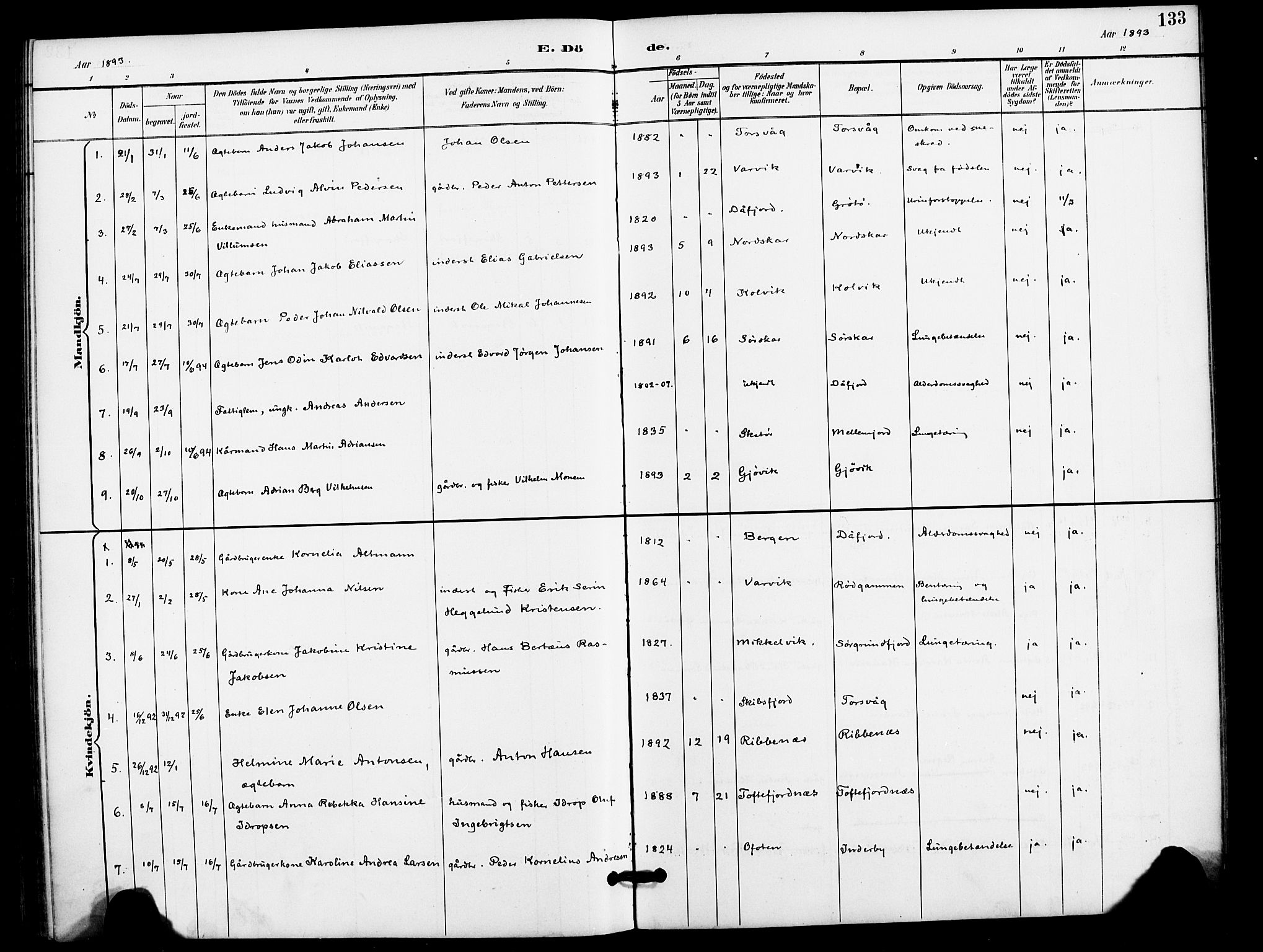 Karlsøy sokneprestembete, AV/SATØ-S-1299/H/Ha/Haa/L0012kirke: Parish register (official) no. 12, 1892-1902, p. 133