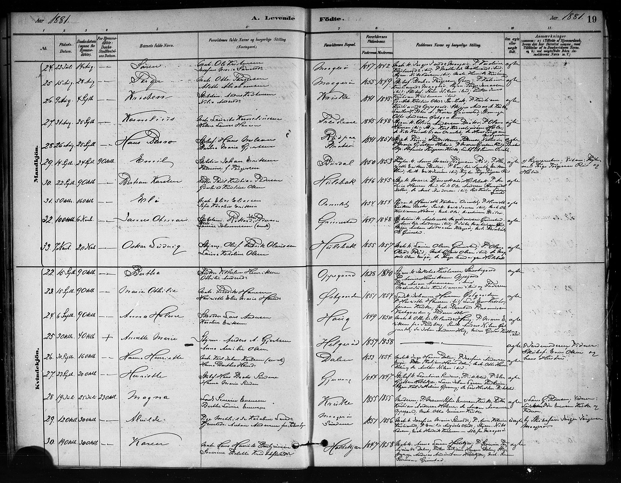 Tjøme kirkebøker, AV/SAKO-A-328/F/Fa/L0001: Parish register (official) no. I 1, 1879-1890, p. 19