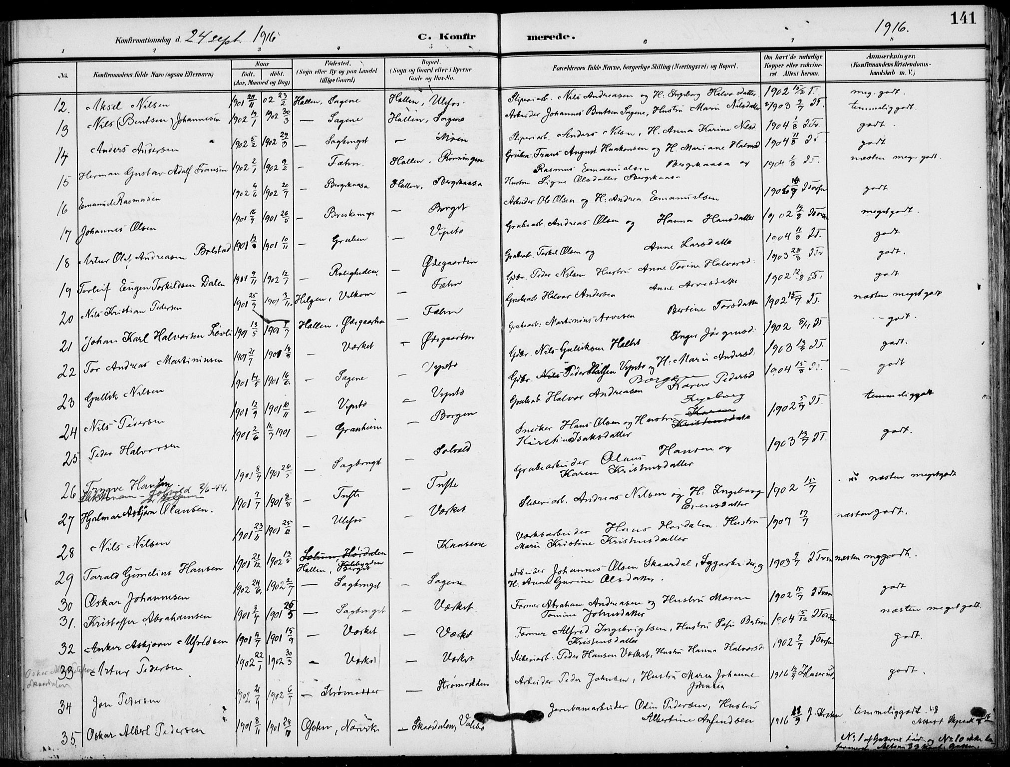 Holla kirkebøker, AV/SAKO-A-272/F/Fa/L0012: Parish register (official) no. 12, 1907-1923, p. 141