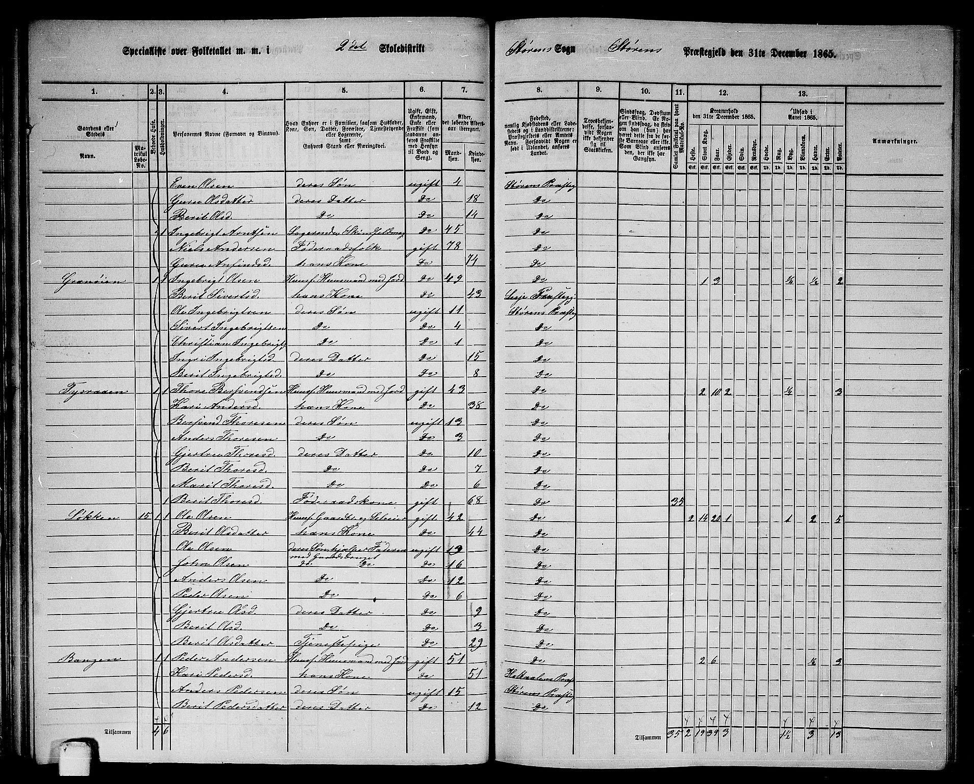 RA, 1865 census for Støren, 1865, p. 40