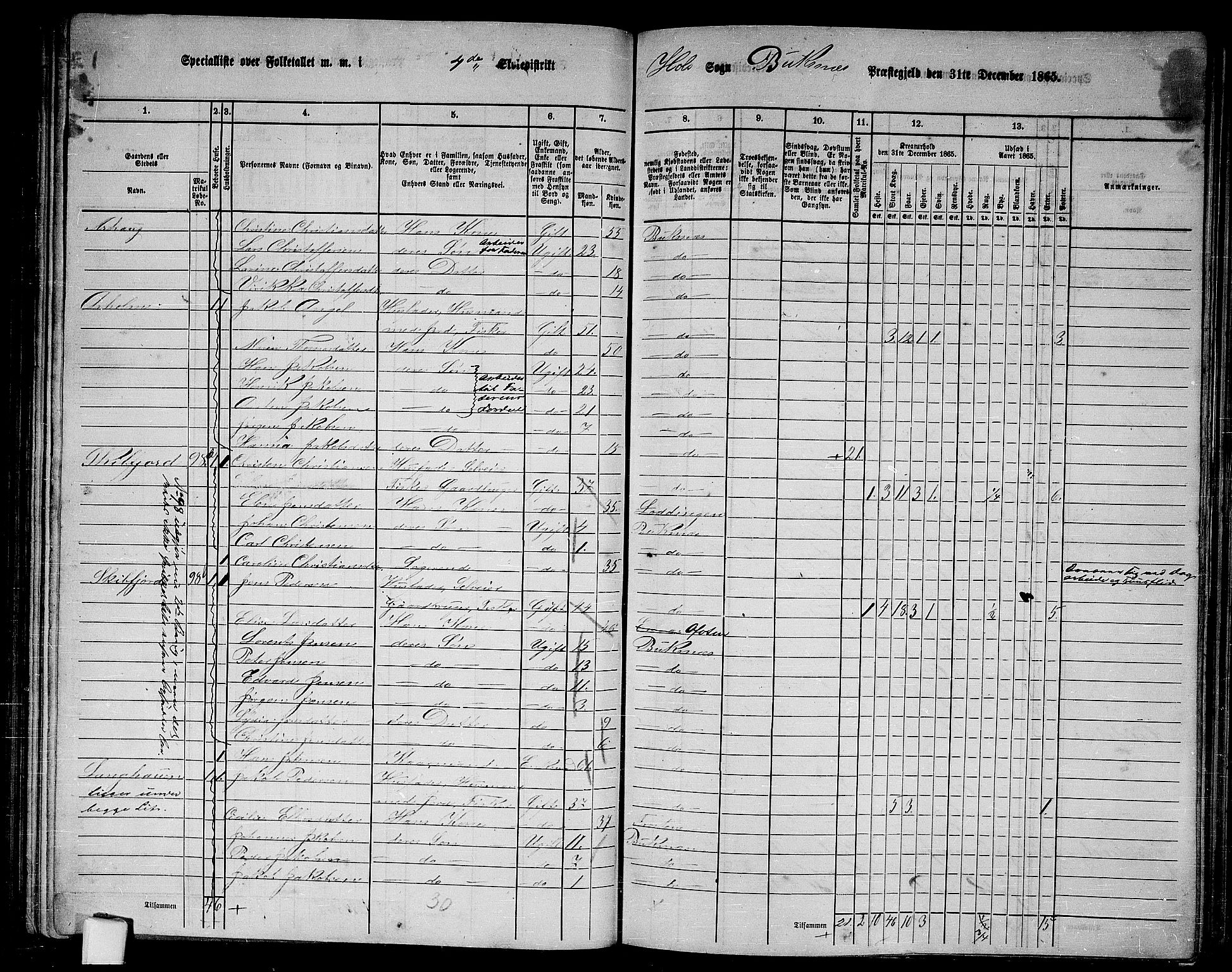 RA, 1865 census for Buksnes, 1865, p. 82